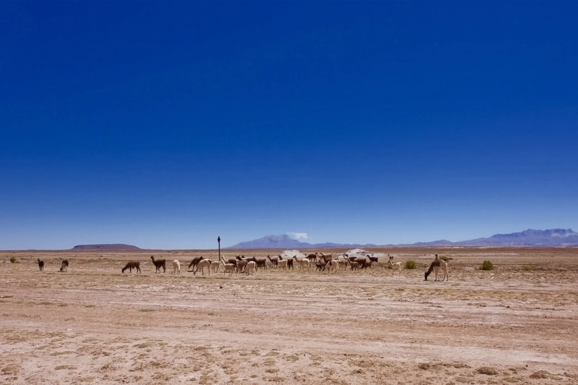 Towards the Salar de Uyuni, Bolivia