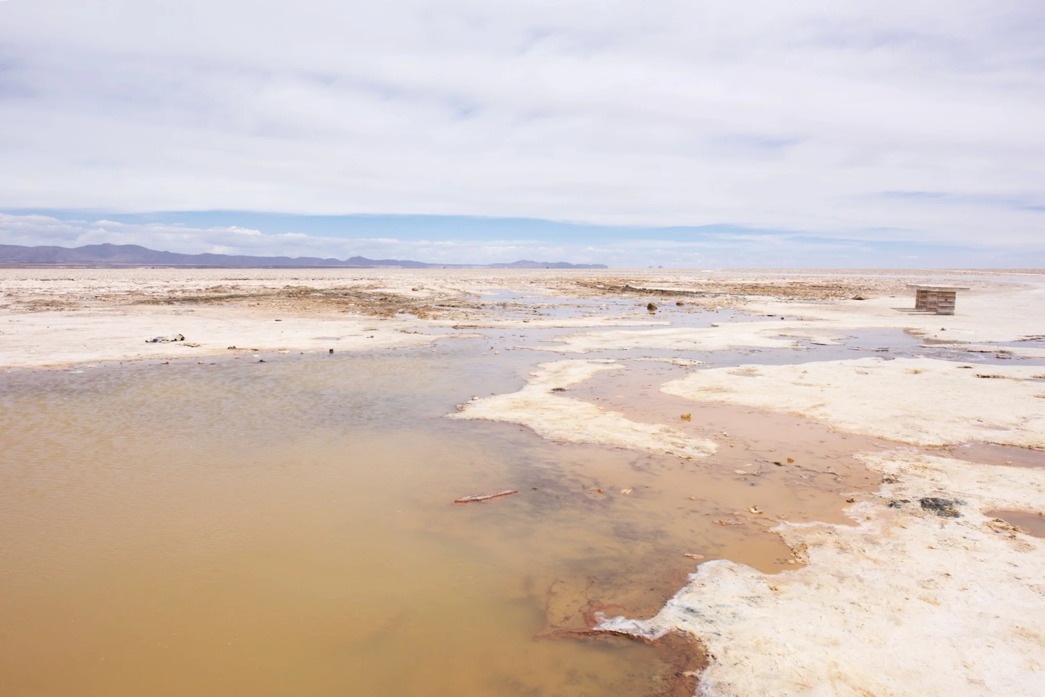 Salt, salt, salt - everywhere