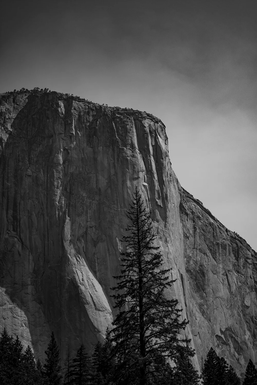 El Capitan, Yosemite National Park