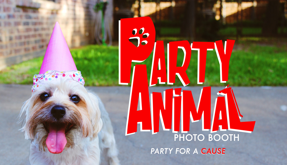 FAQ - Frequently Asked Questions — Party Animal Photo Booth