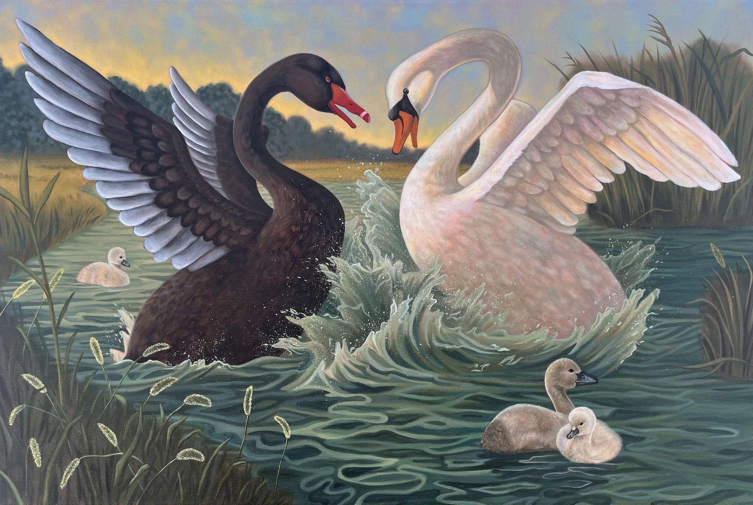 Swans copy 12x18.jpg