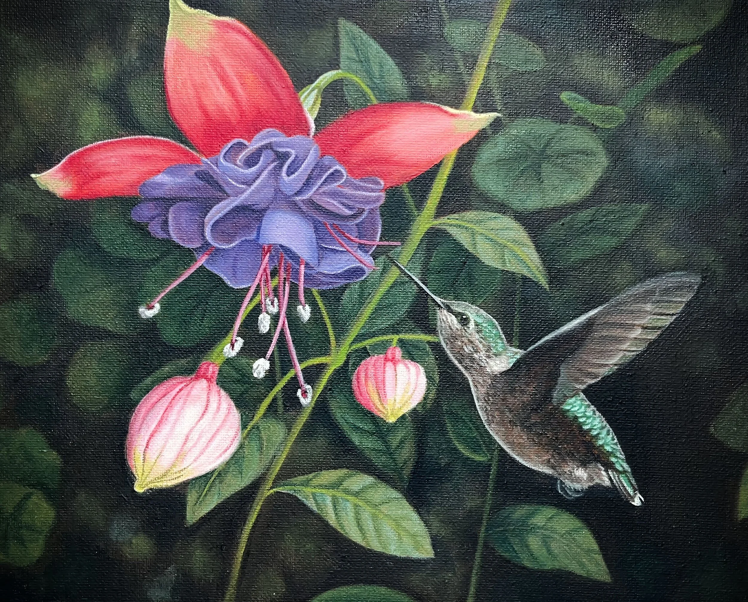 Humming Bird Copy 8x10.jpg