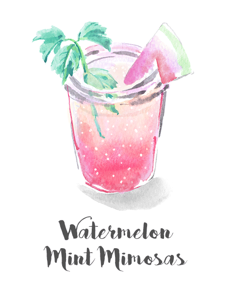 Watermelon_Mint_Mimosa.gif