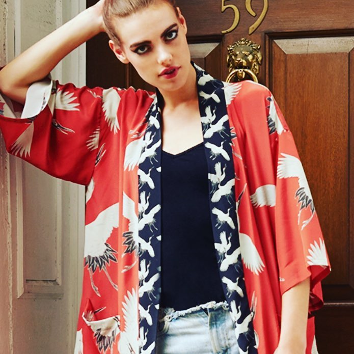 cranes kimono.jpg