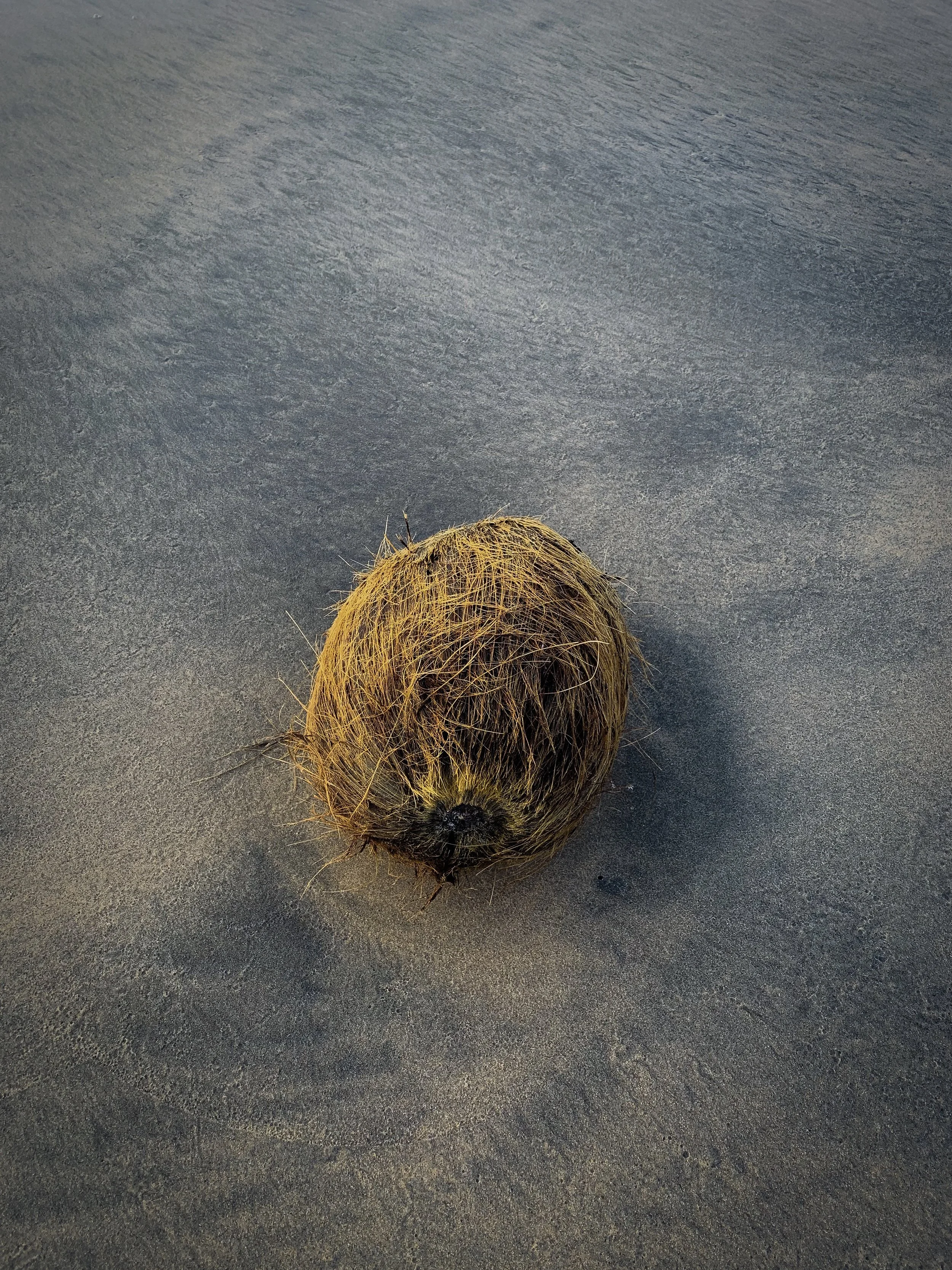 The Best Coconut Oil Tips and Tricks