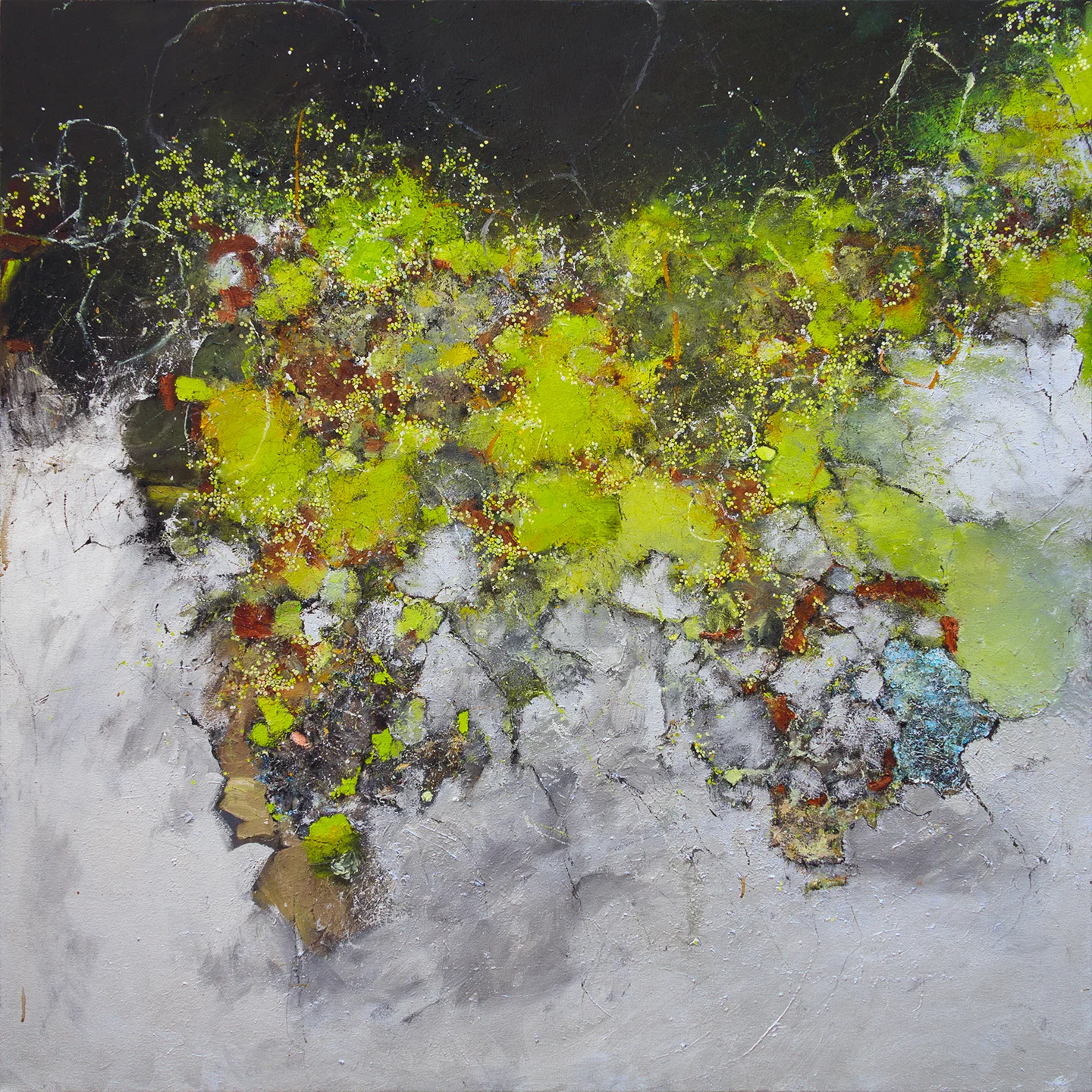 Tide Pool 2017 oil, enamel, charcoal, and graphite on canvas 48 x 48" / 122 x 122 cm