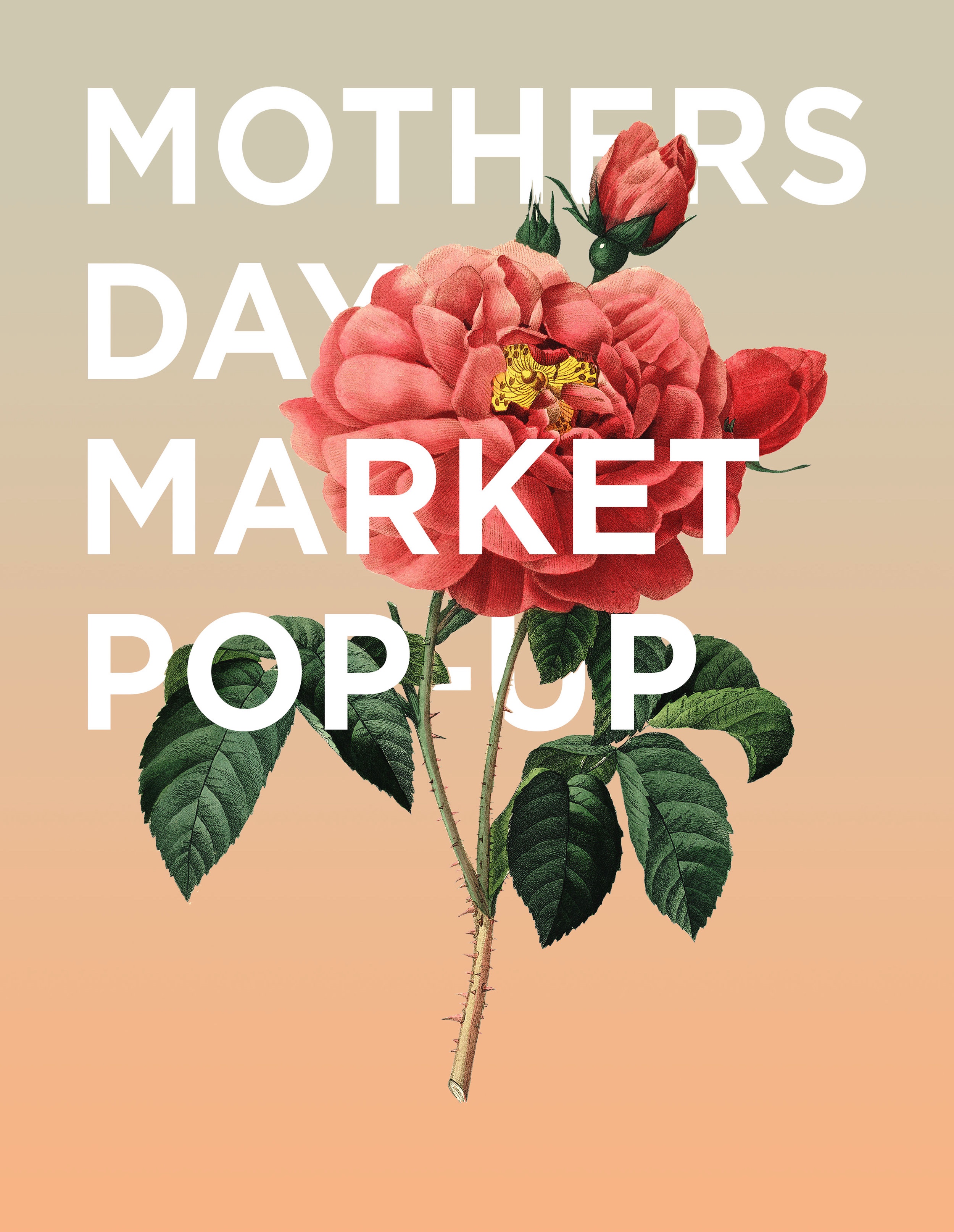 MothersMarket_Hero_v1.jpg