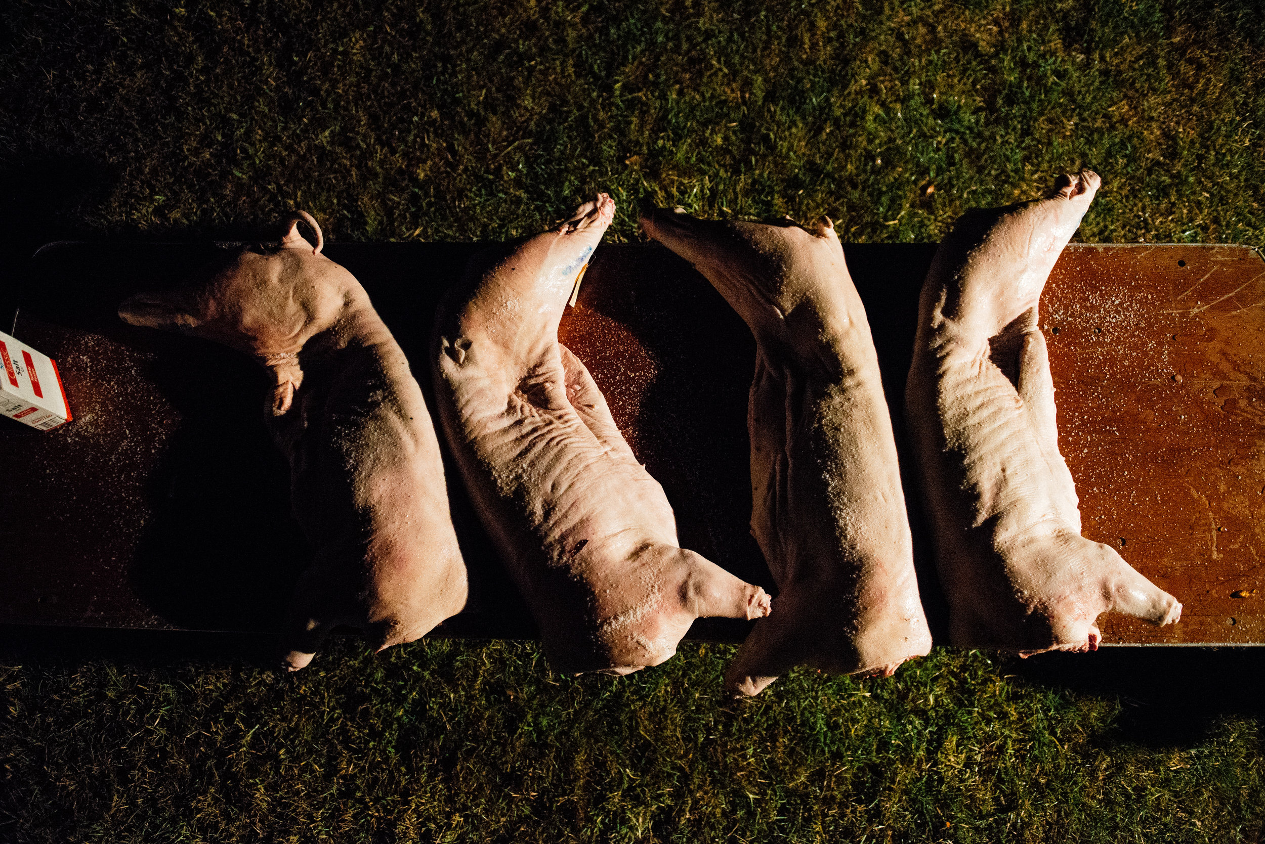 Whole Hog