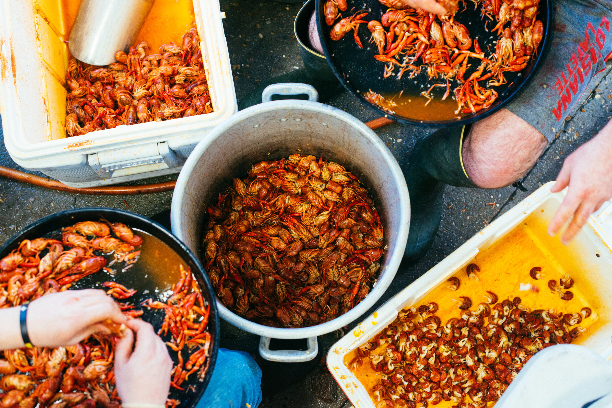Head'n Crawfish