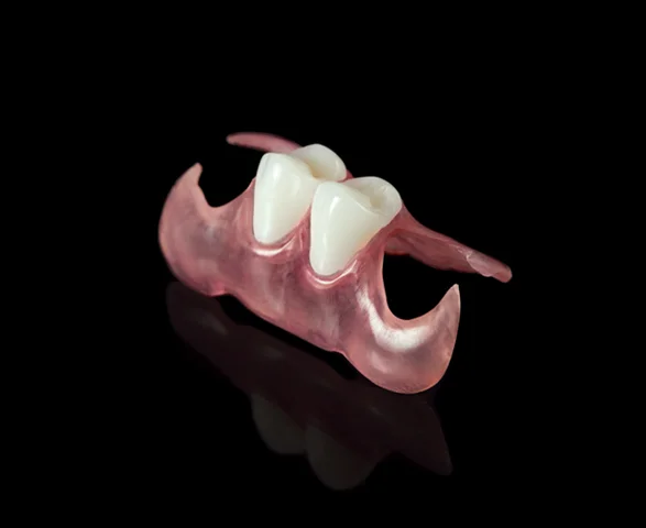 VALPLAST® FLEXIBLE PARTIAL DENTURE