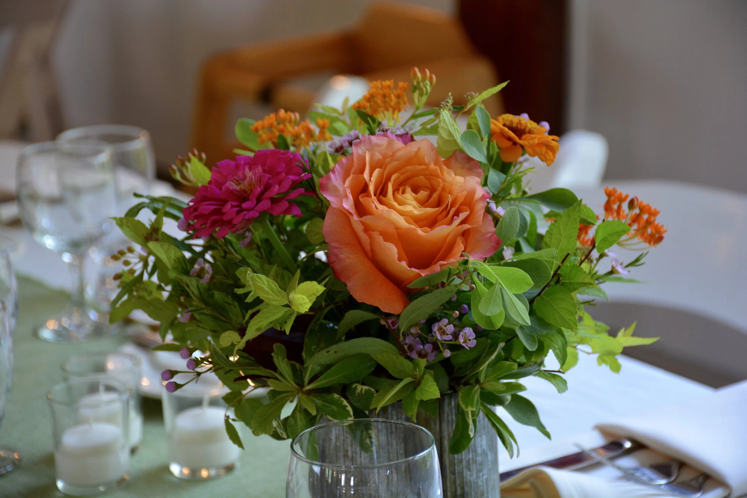 DSC_6484.jpg