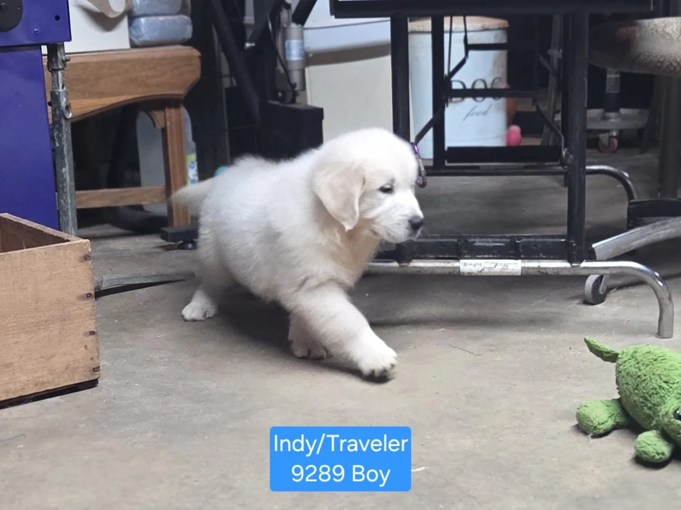 1000071840.jpg