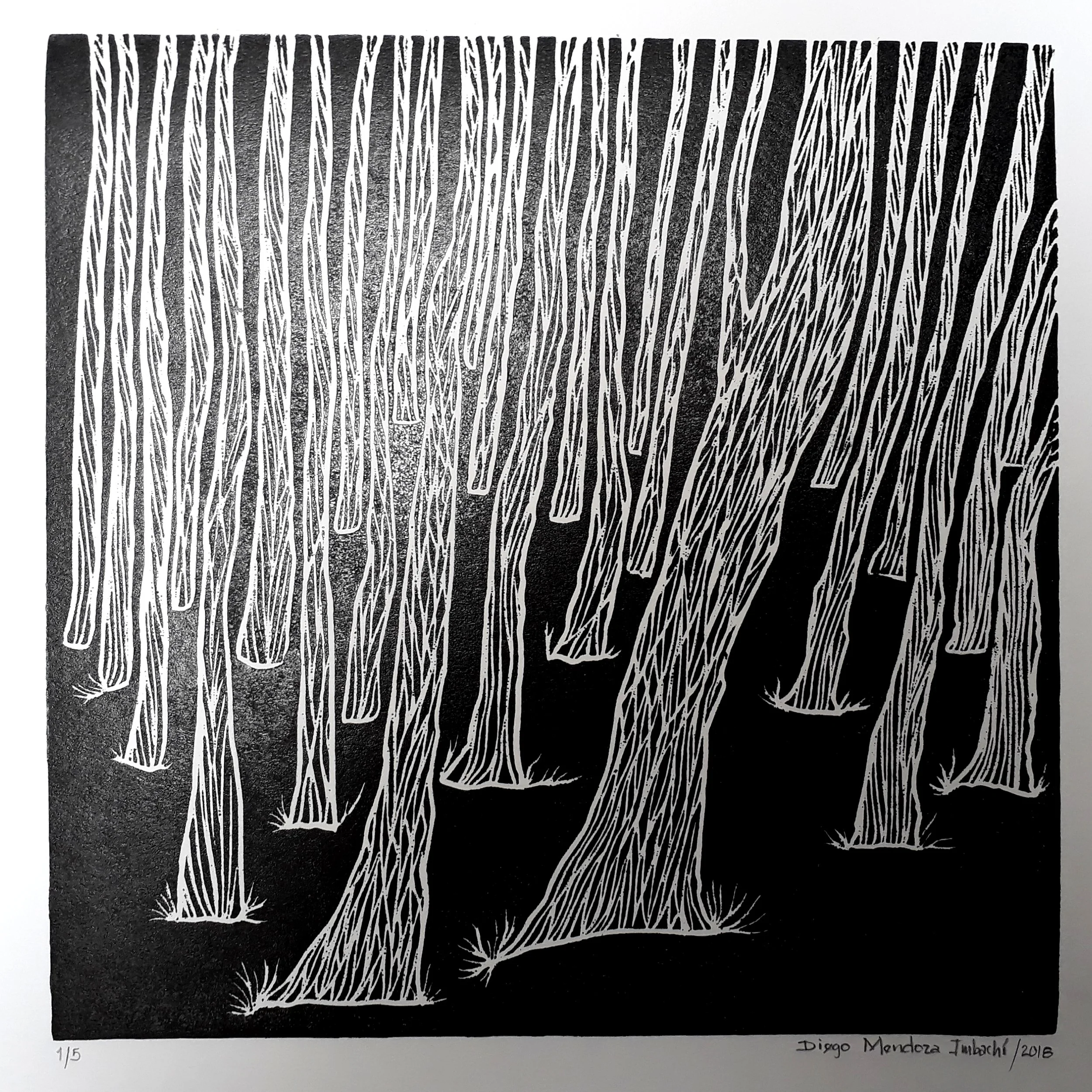 S.T (2018) - 35 x 35 cm - Grabado en linóleo, Serie de 5 / Lino cut engraving, Series of 5