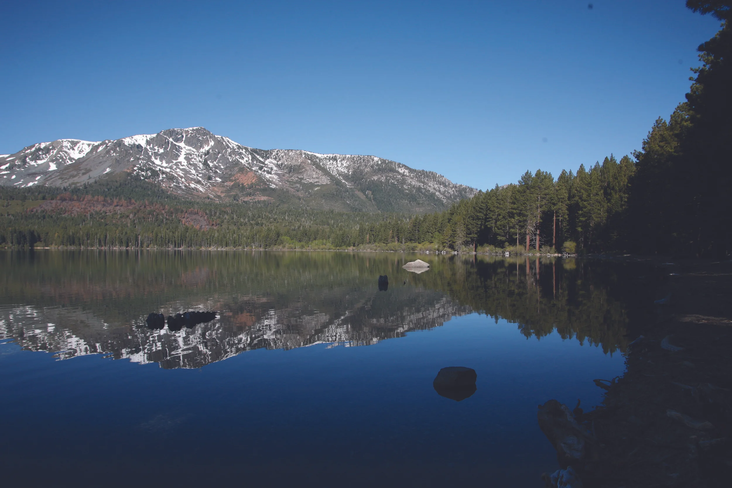 Tallac Creek Bridege_1.png