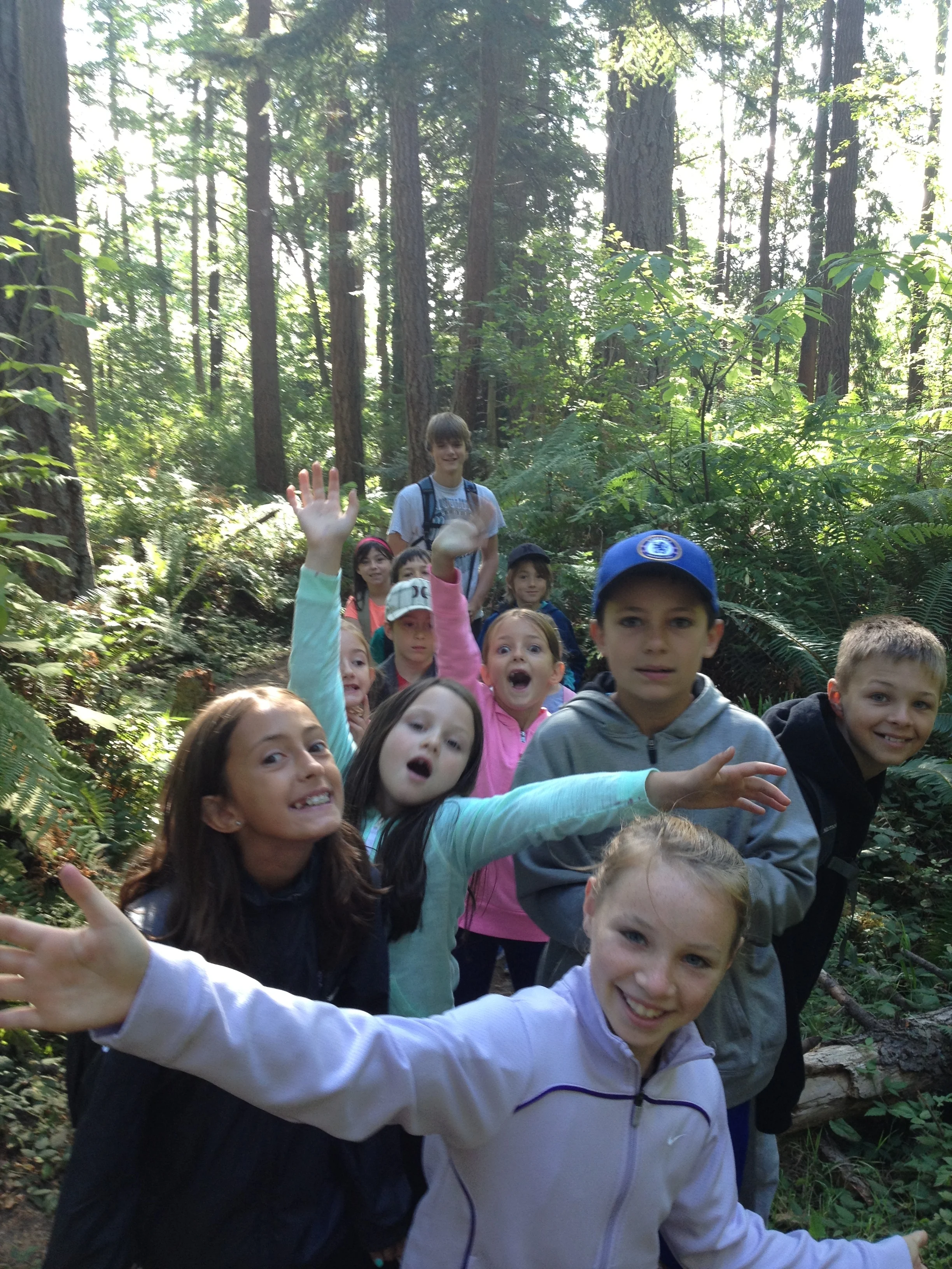 forest discovery image2015.jpg