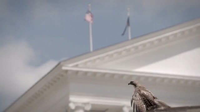 Political Bodies - Trailer