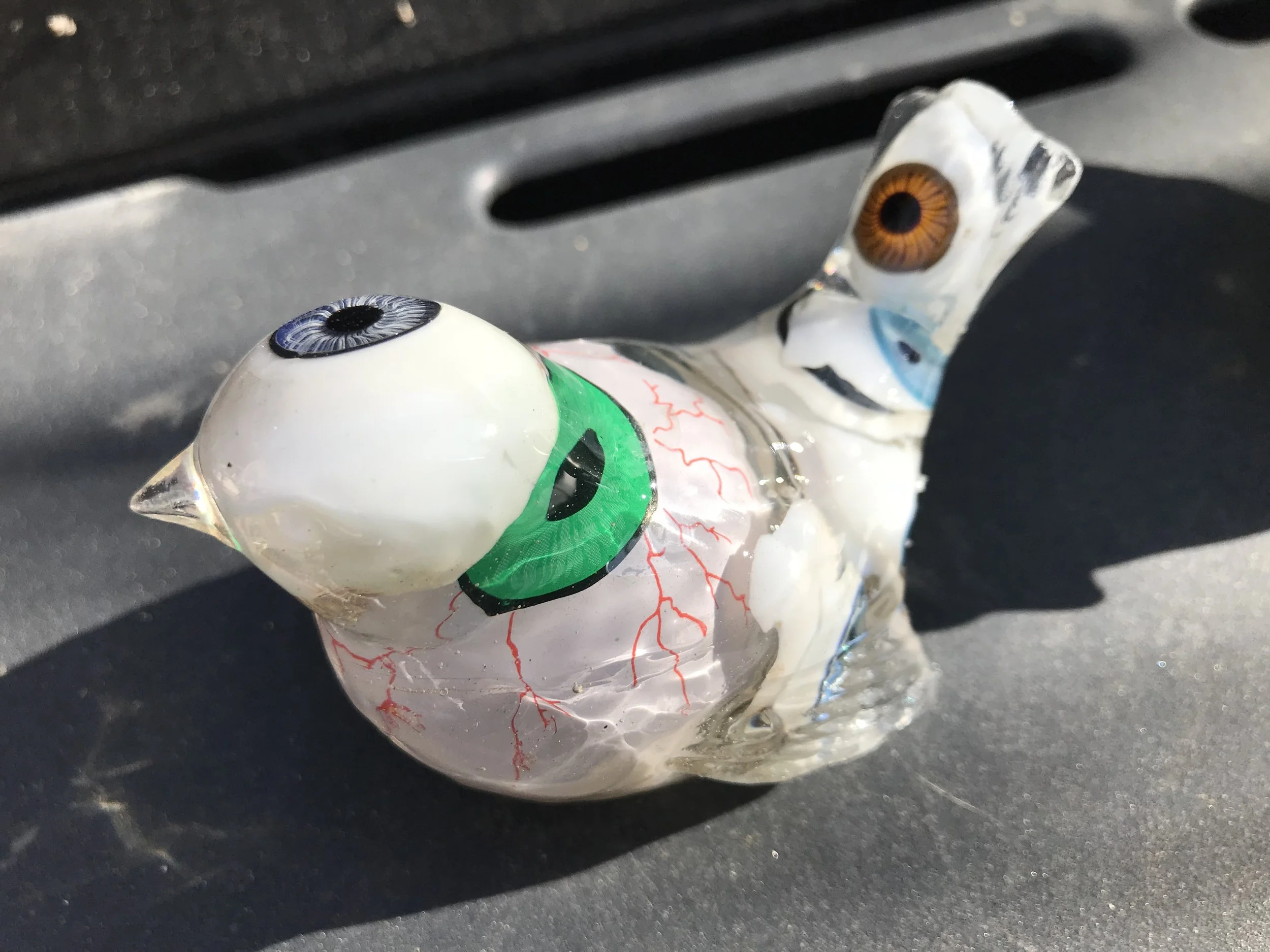 eyeball bird2.jpeg