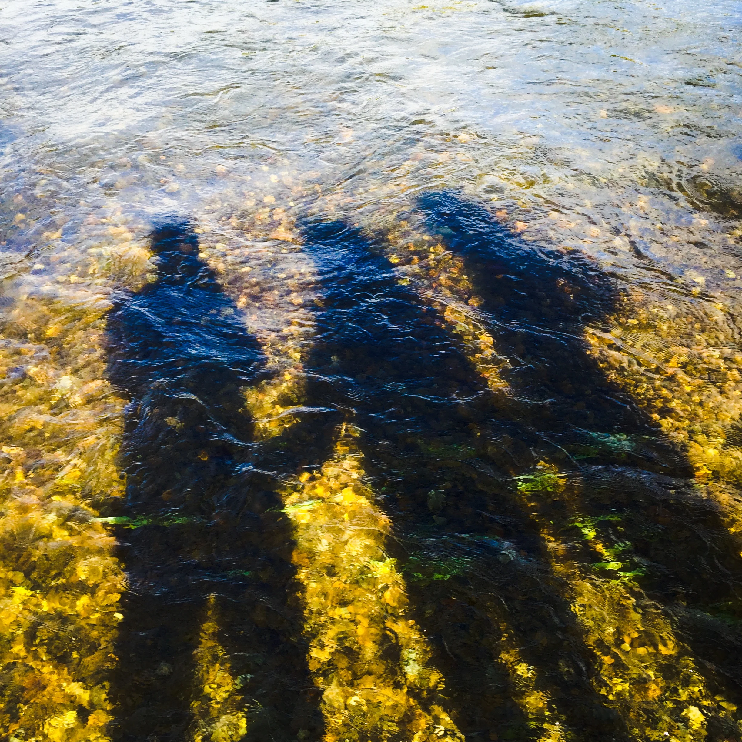 "The Cheerleaders in Heaven"