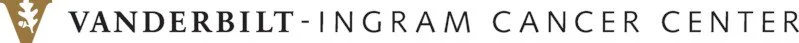 logo-VICC-rgb.jpg