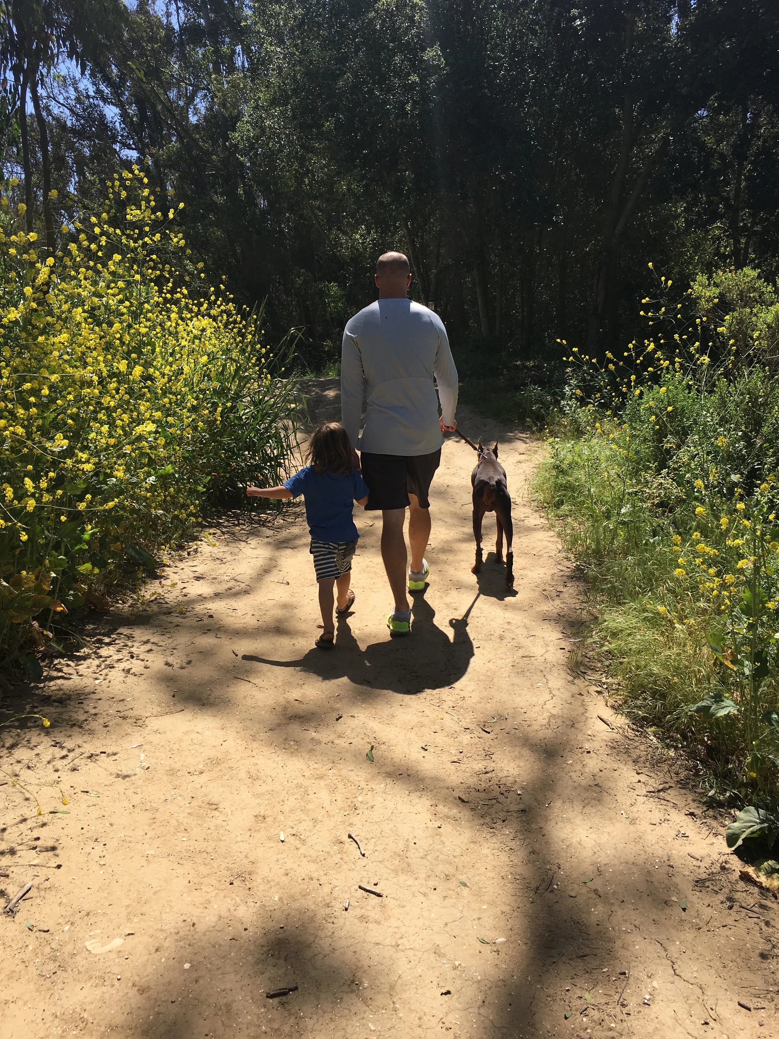 Entering the Butterfly Grove.
