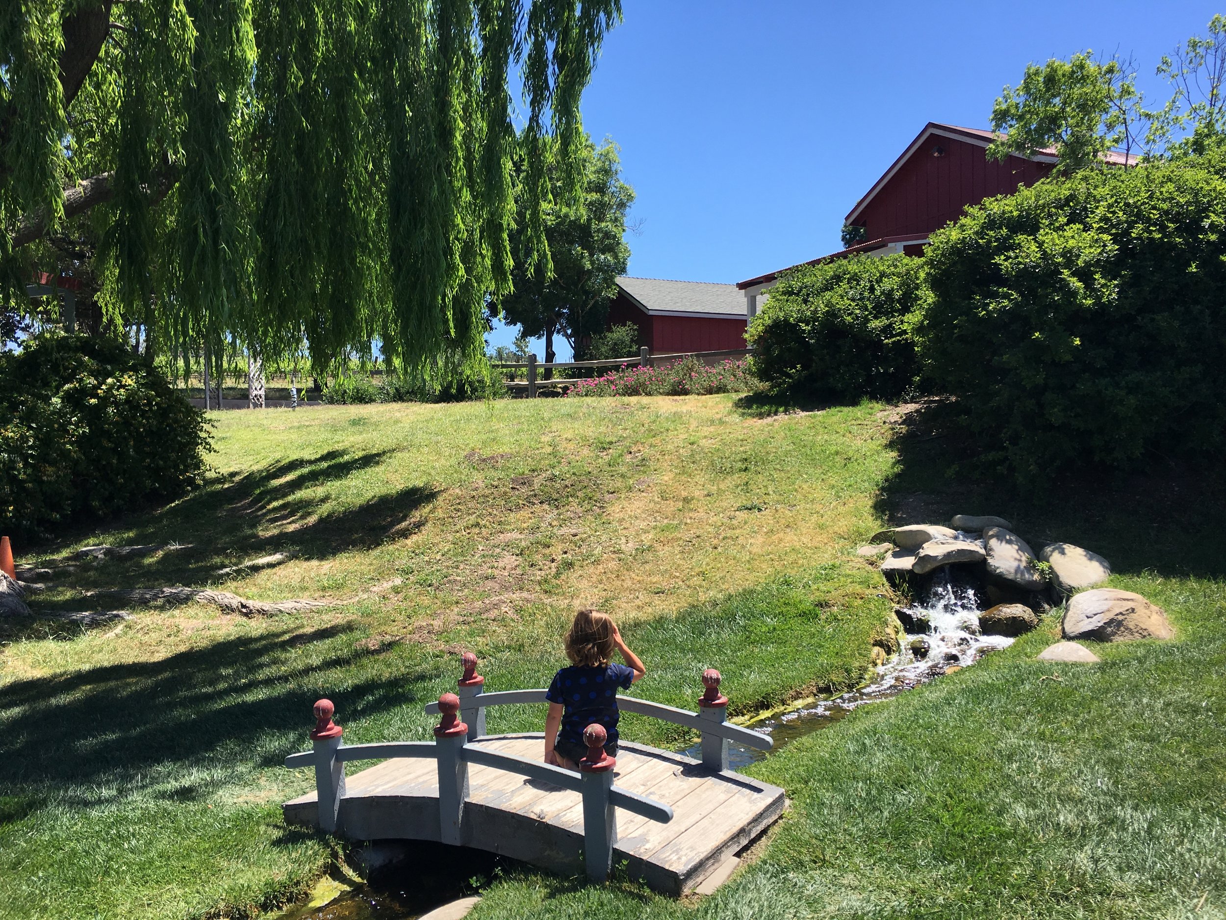 Guarding the bridge at Beckman Vineyard.