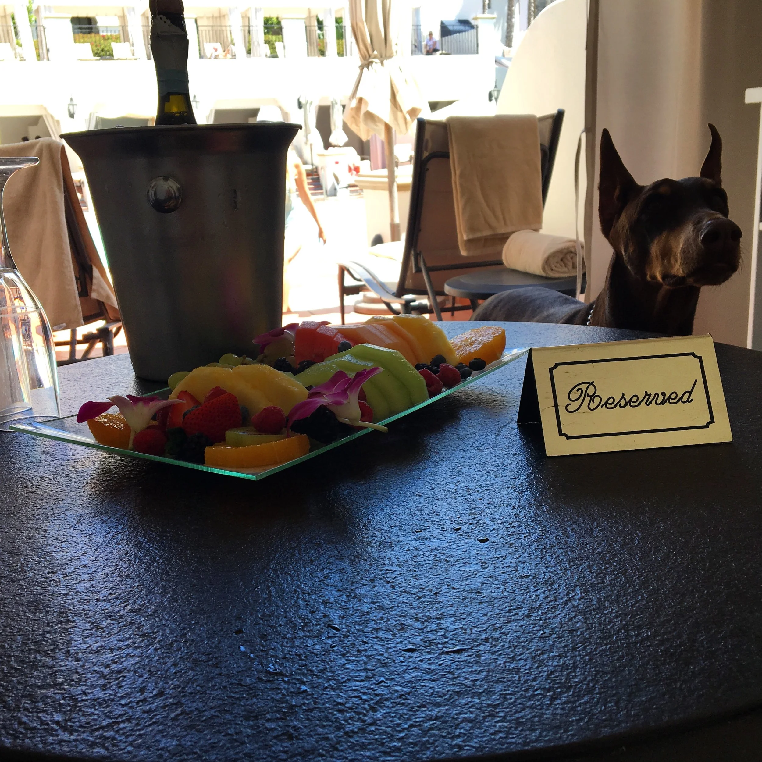 Reserved for Dobies Only
