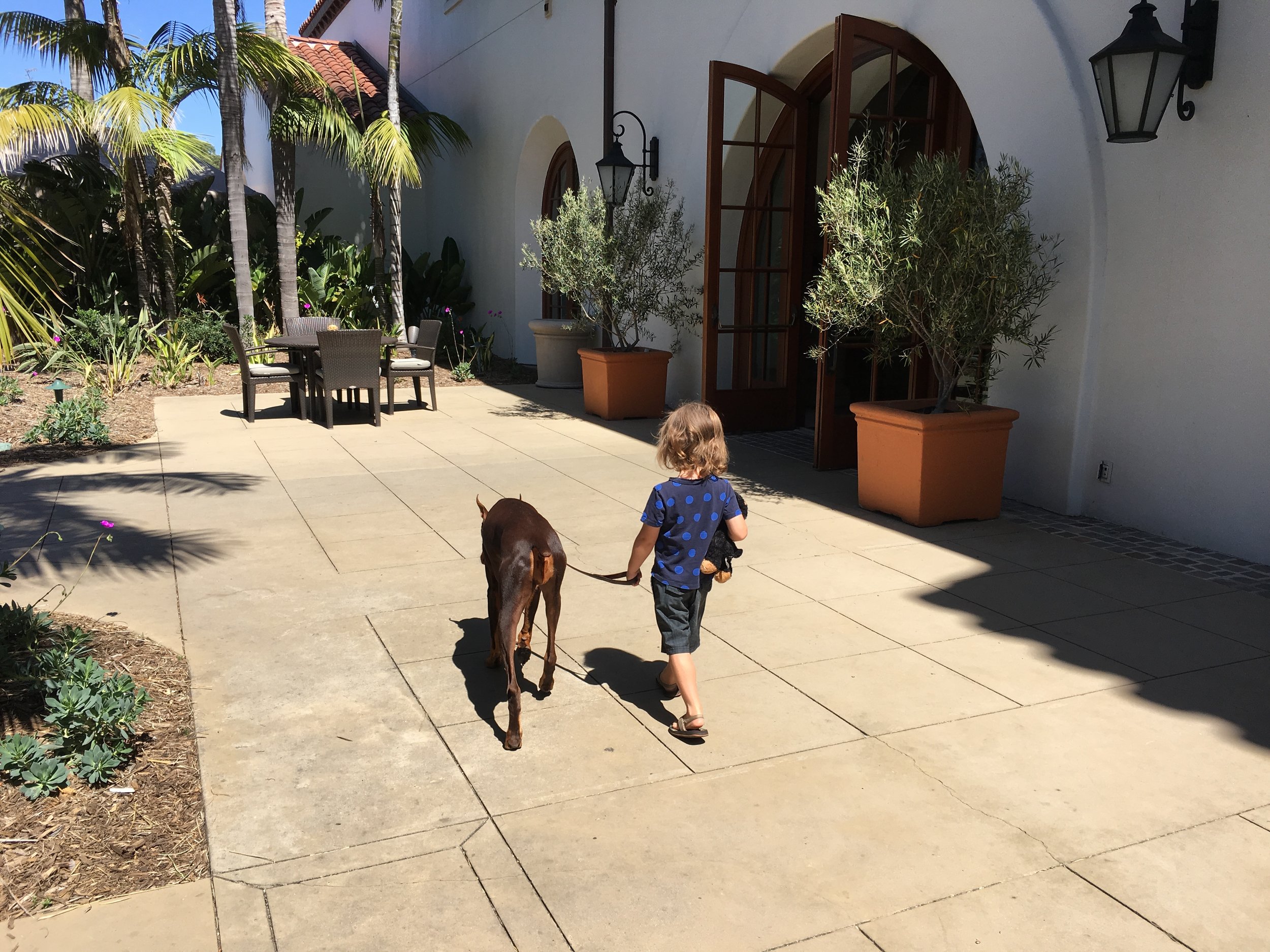 Exploring the Dog-friendly Bacara!