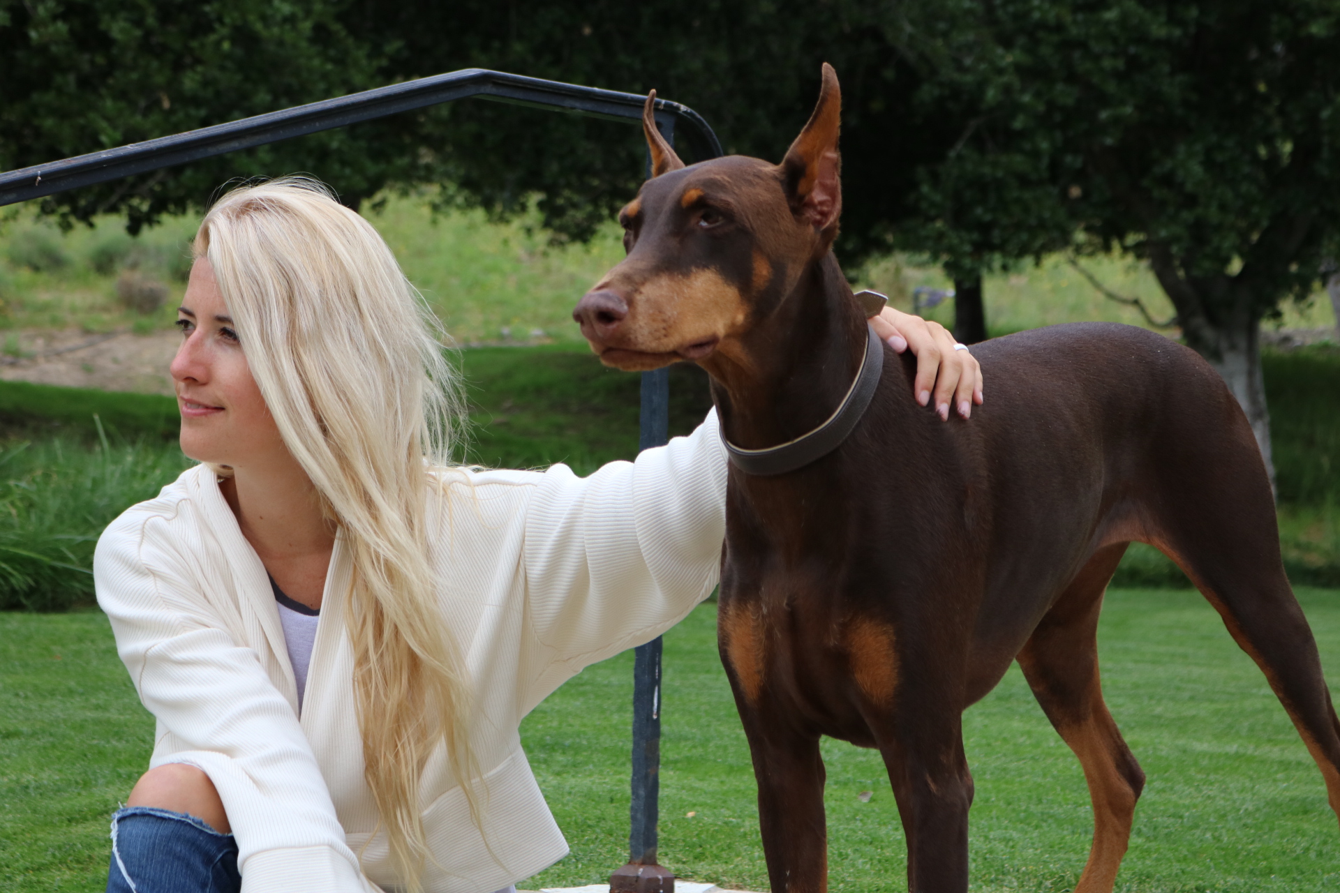 Plenty of space to find a quiet moment at this dog friendly resort!