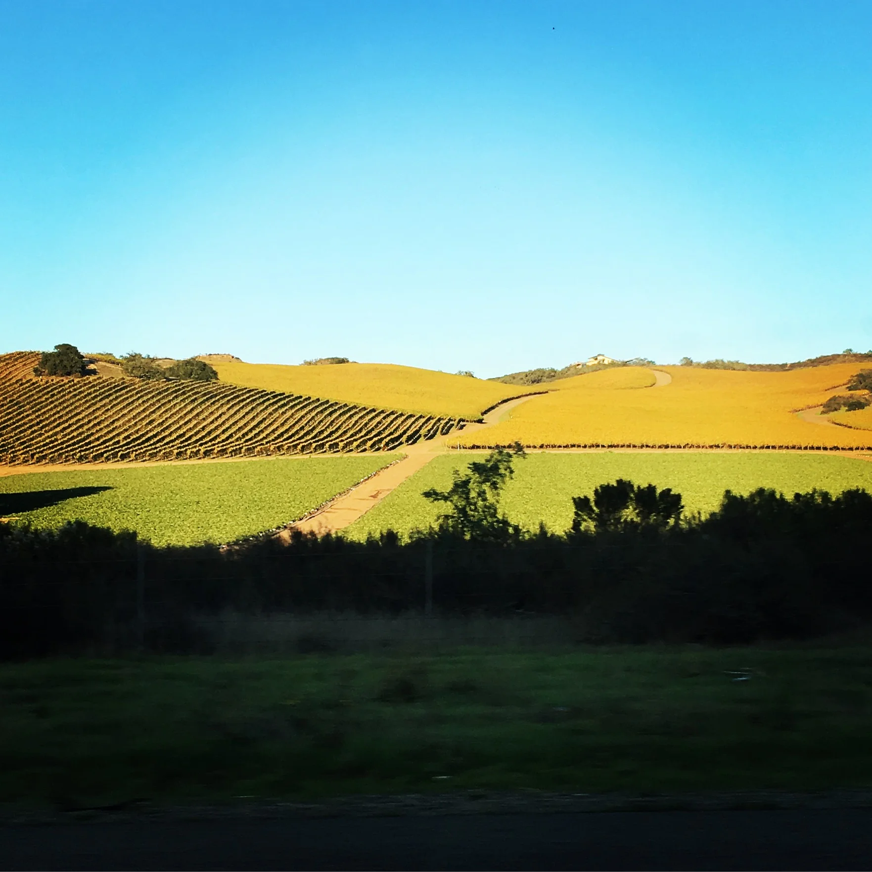 Can't beat this gorgeous drive up Central Cali
