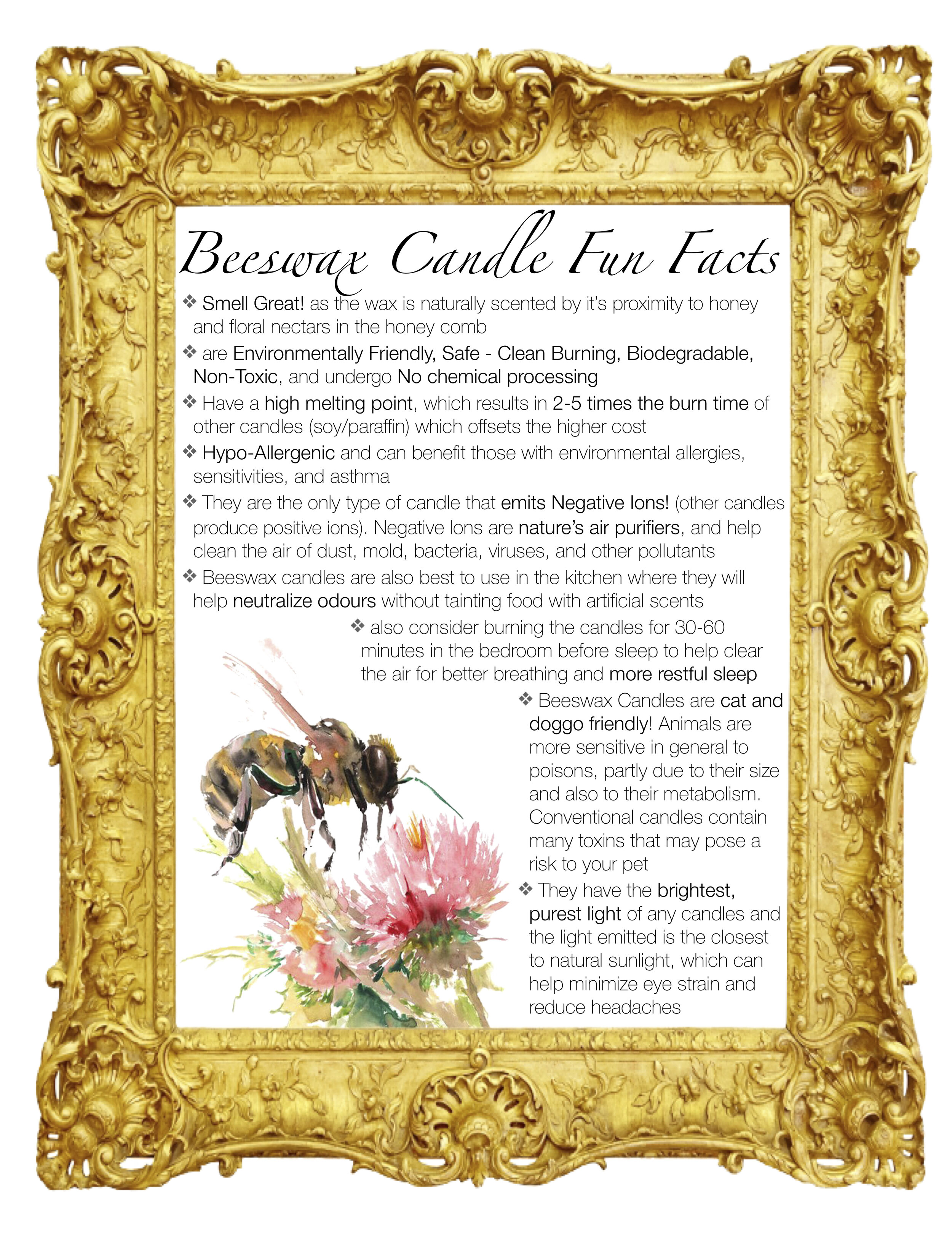 Beeswax Fun Facts .jpg