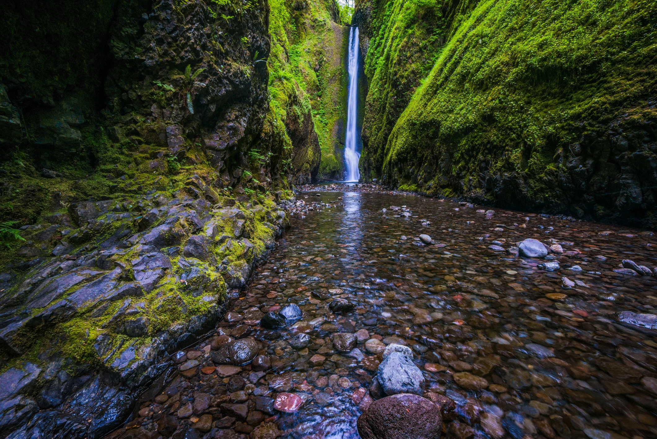 Oneonta Falls.jpg