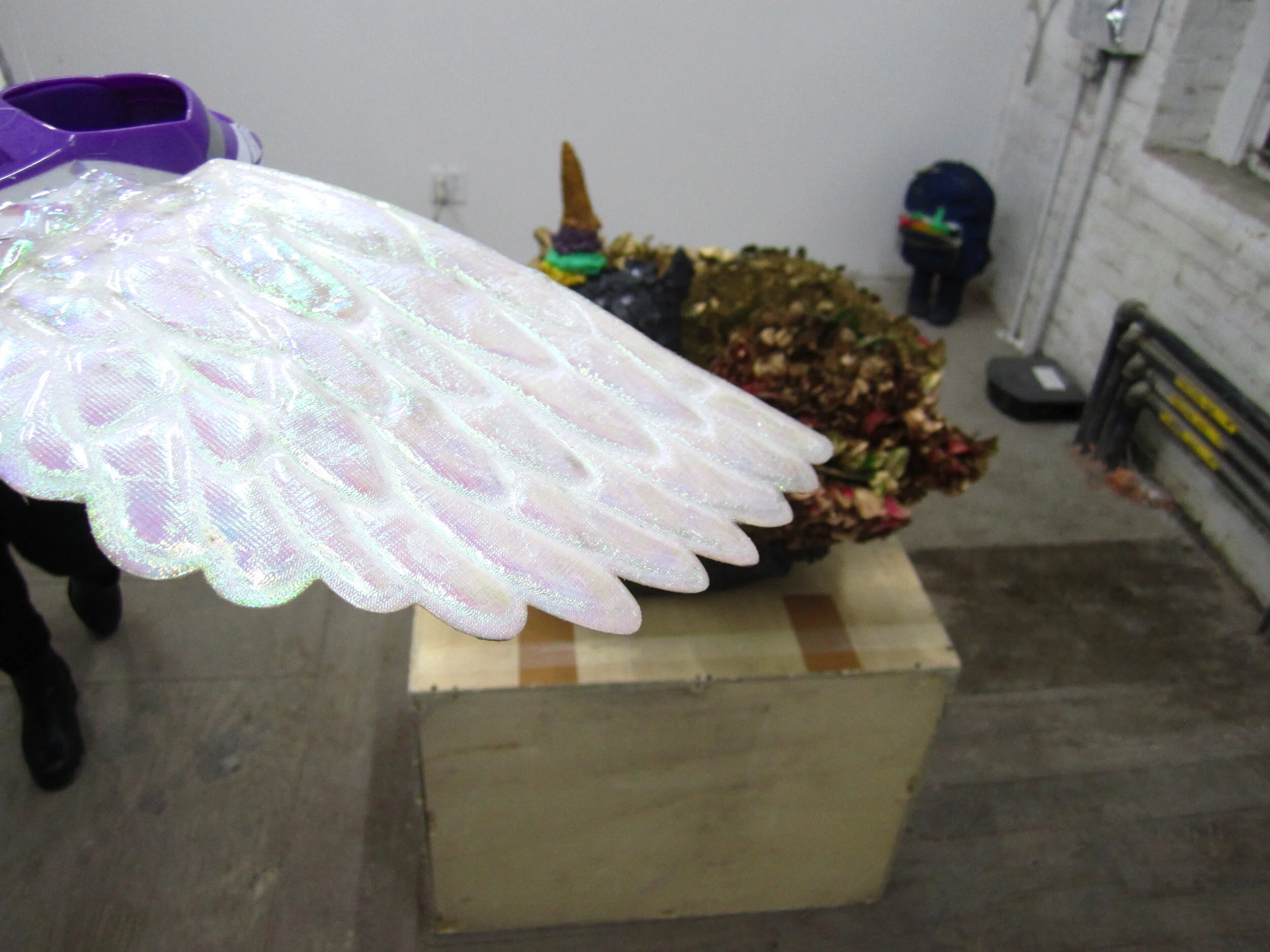 Untitled (wings)