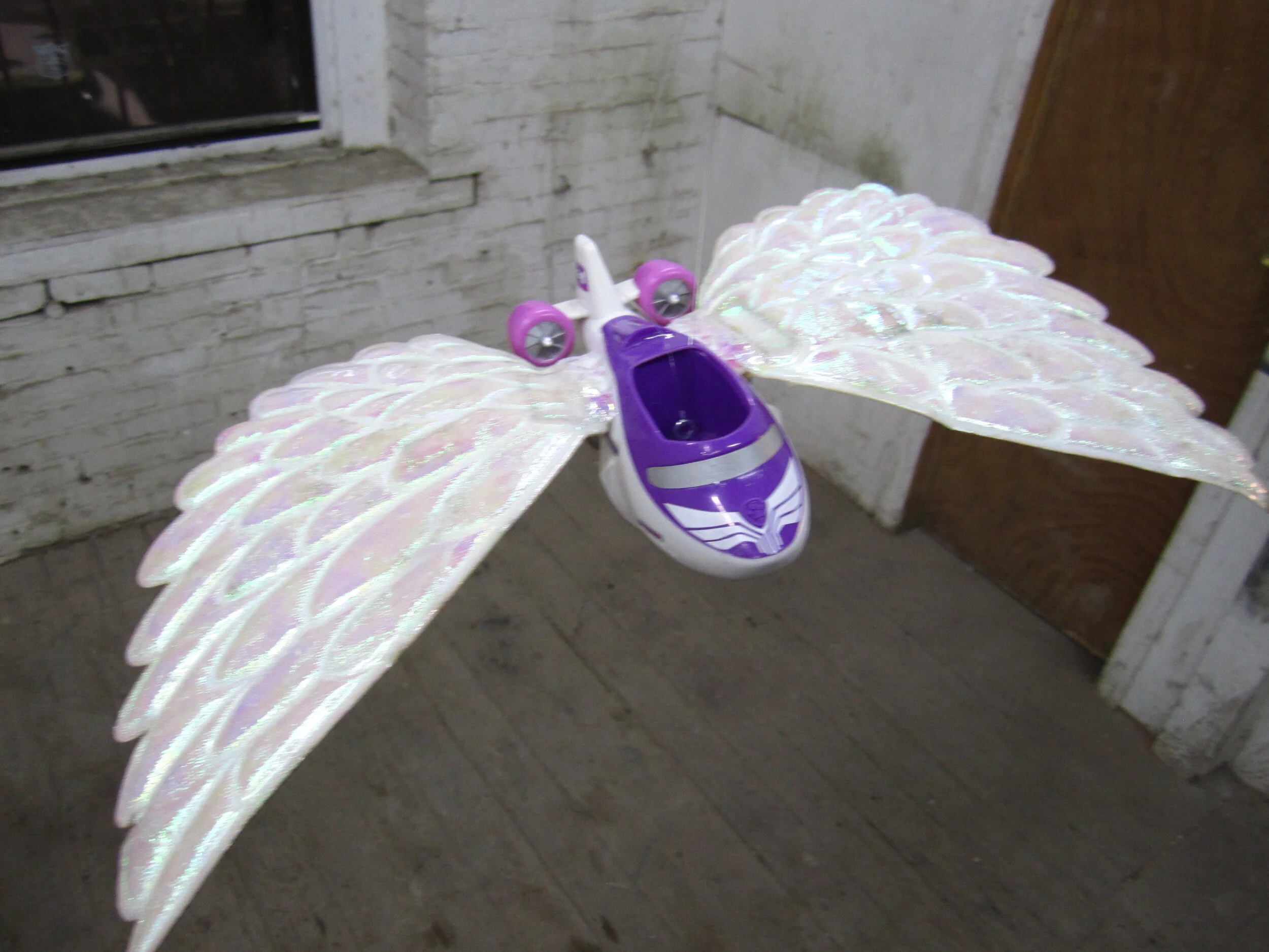 Untitled (wings)
