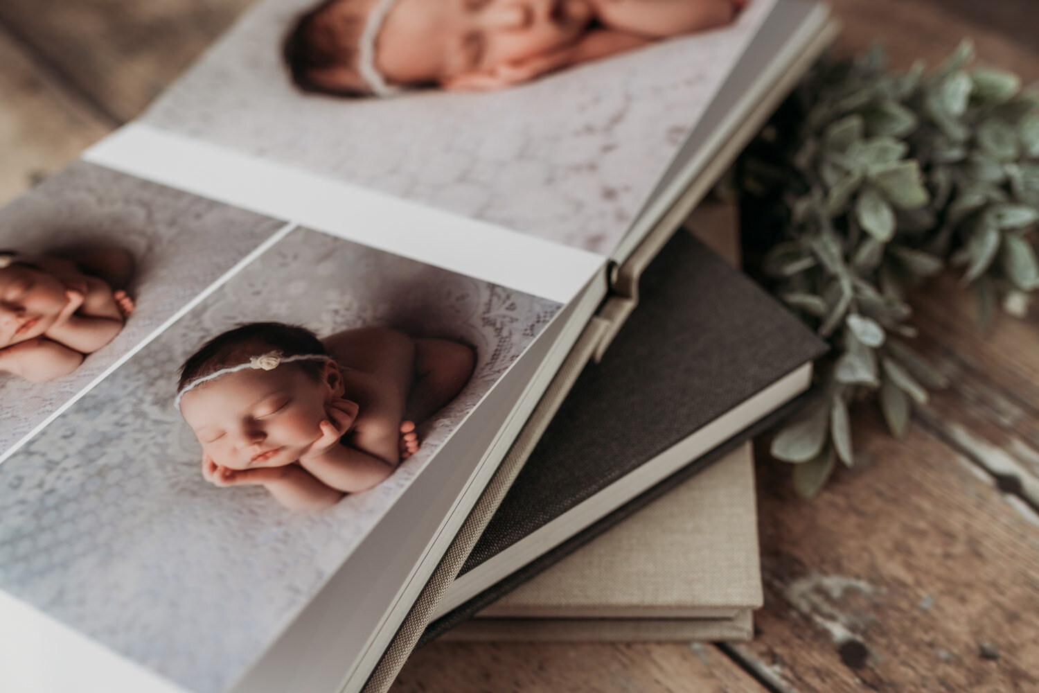 Newborn photography album from professional newborn photos in Regina photography studio. (Copy) (Copy)