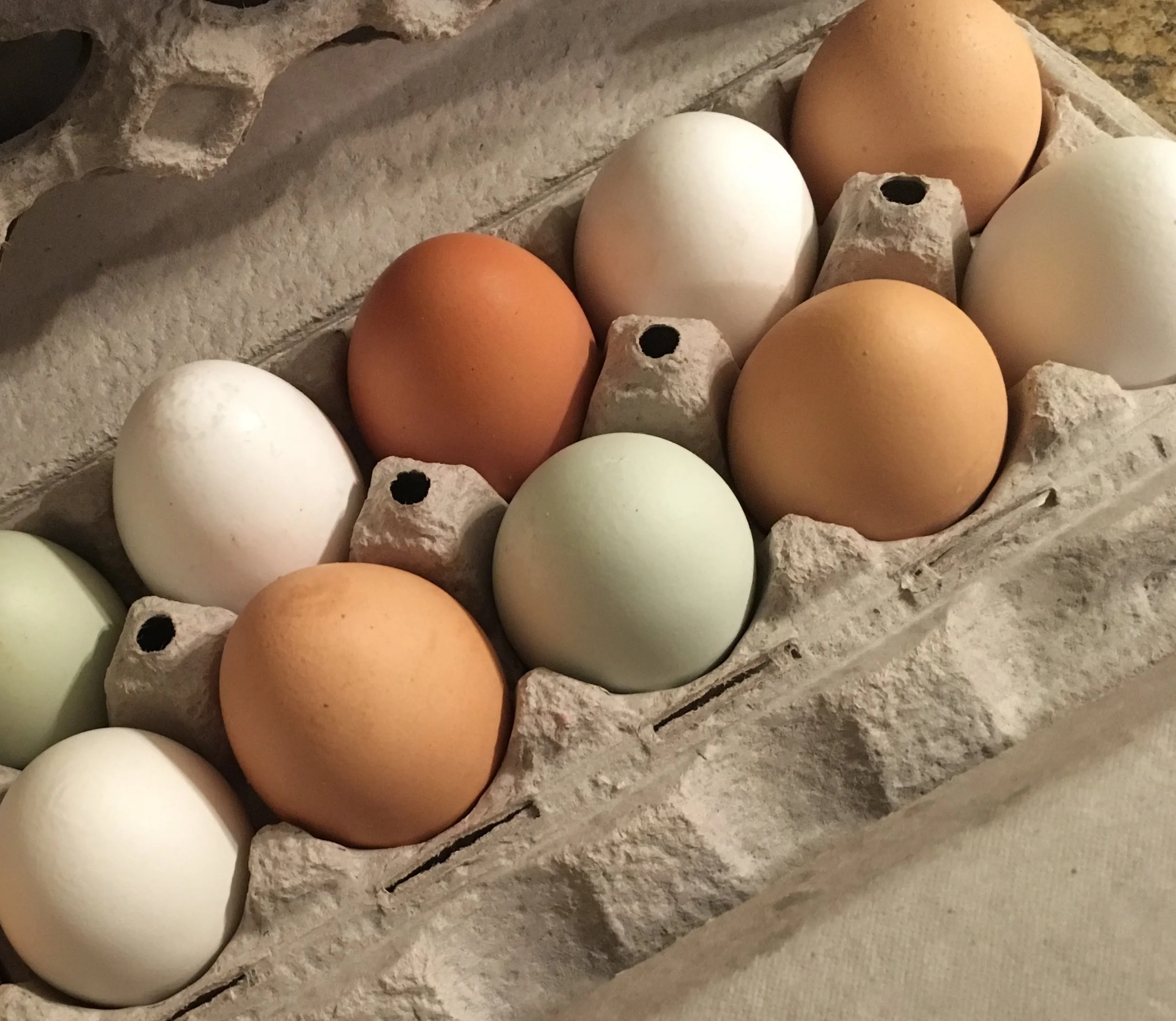 What makes eggs different colors?