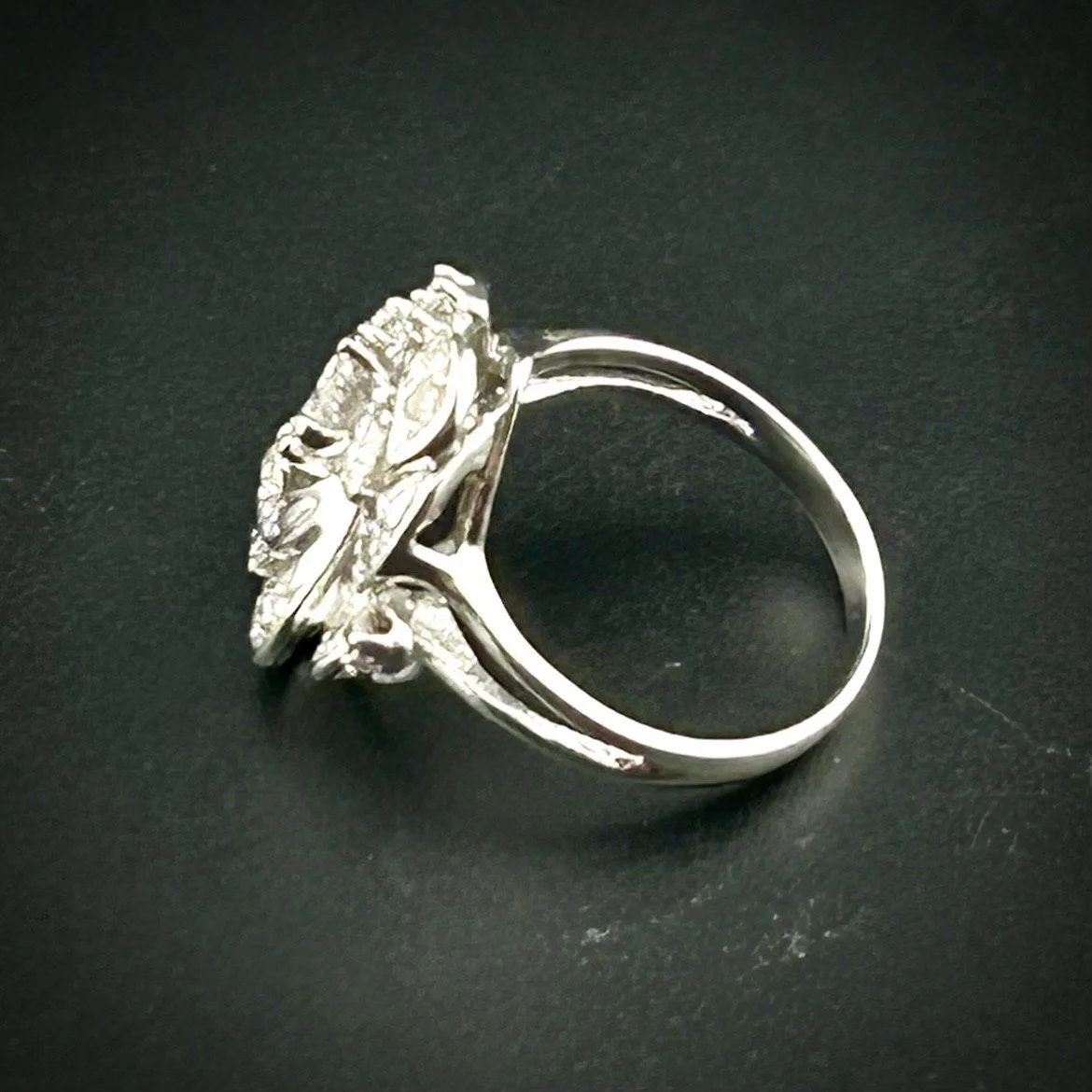 ring 2 cover2.jpeg