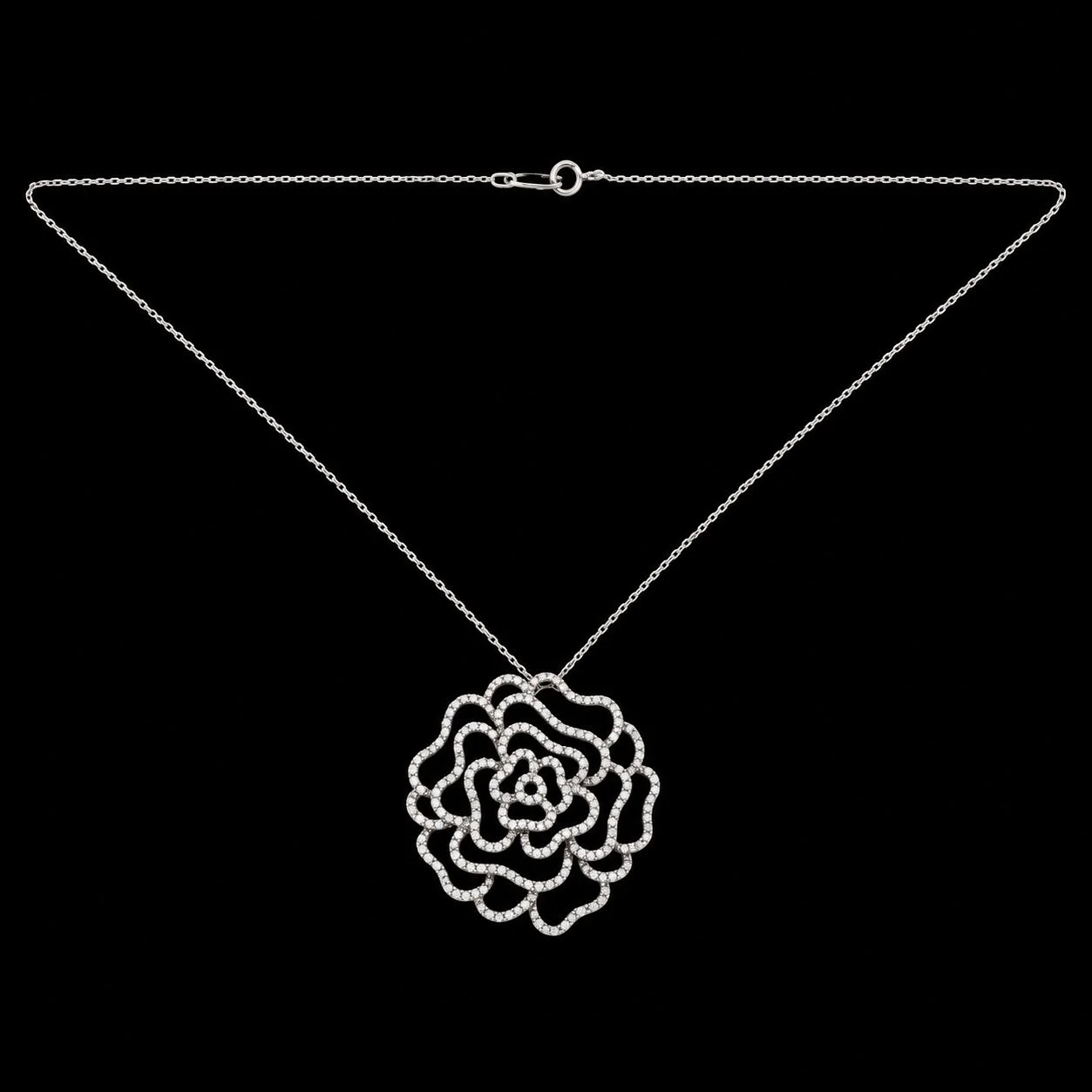 ROSE.jpg