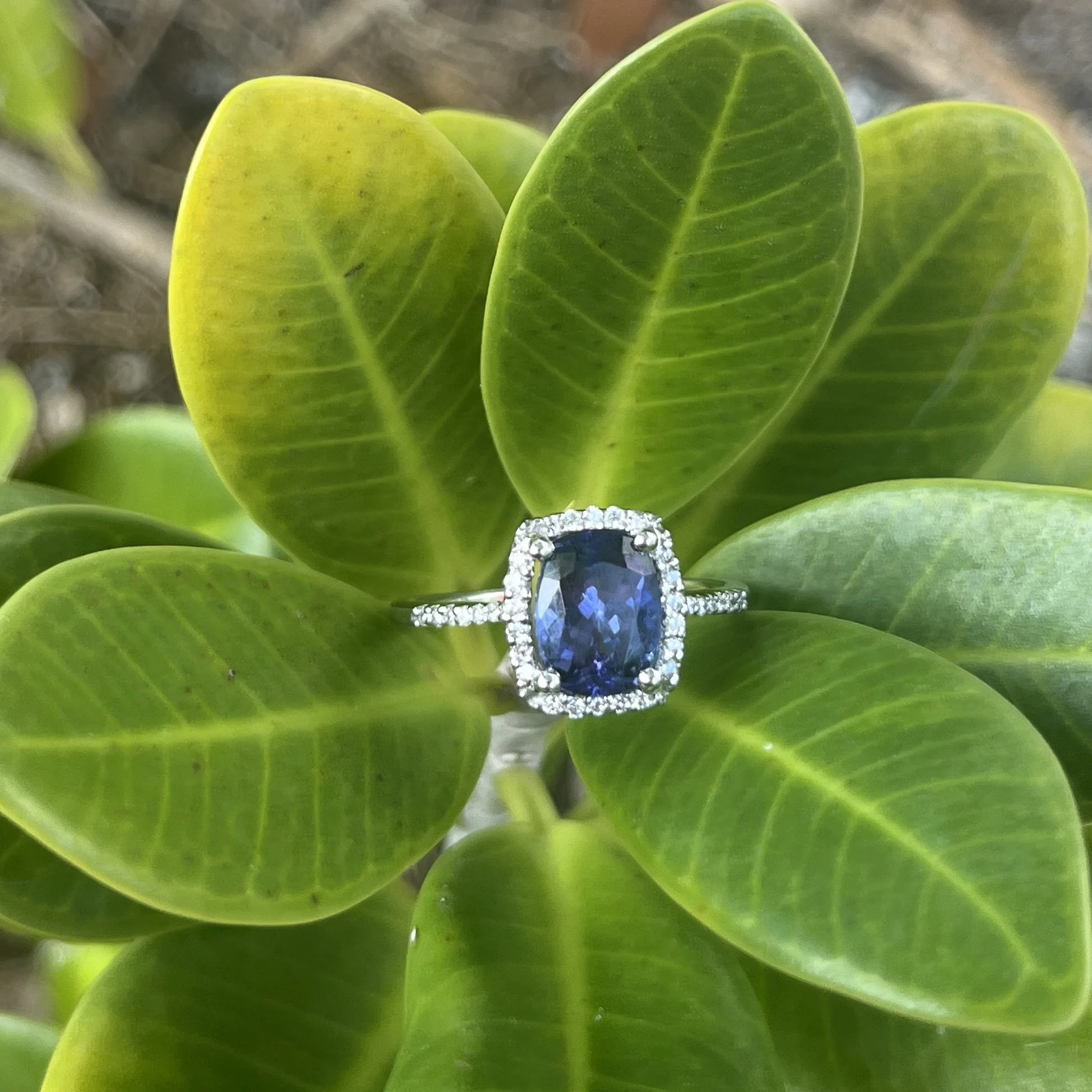 1.25CT OVAL TANZANITE & 0.20CTW ROUND DIAMOND 18K WHITE GOLD RING SZ 7