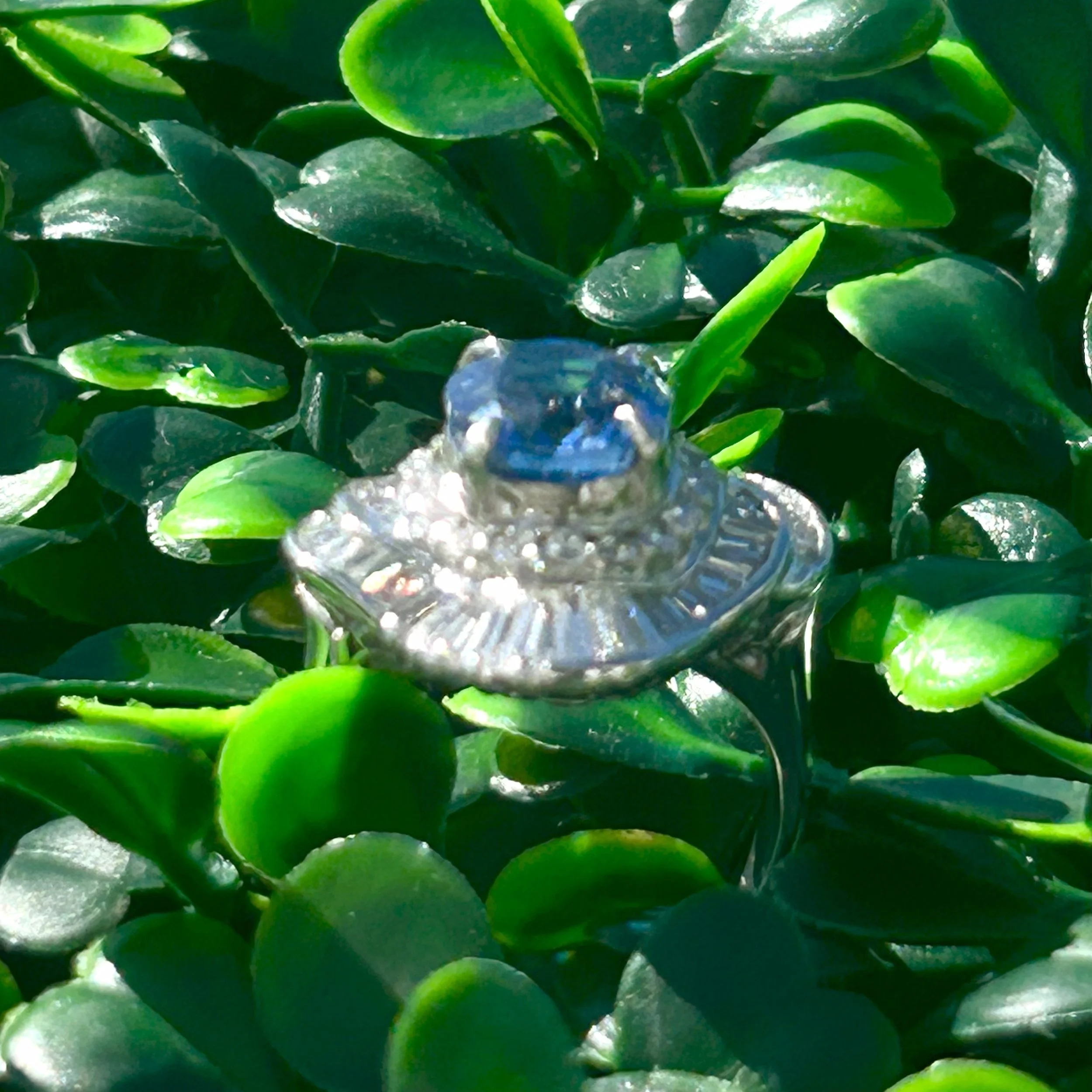 ring 3o3.jpeg