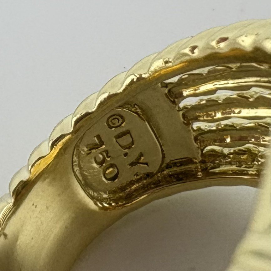 DY6.jpeg