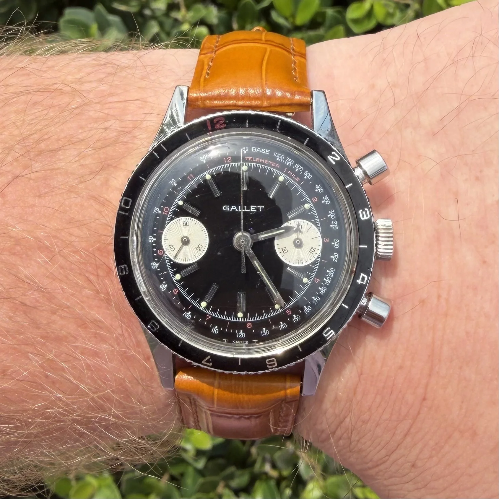 gallet1.JPG