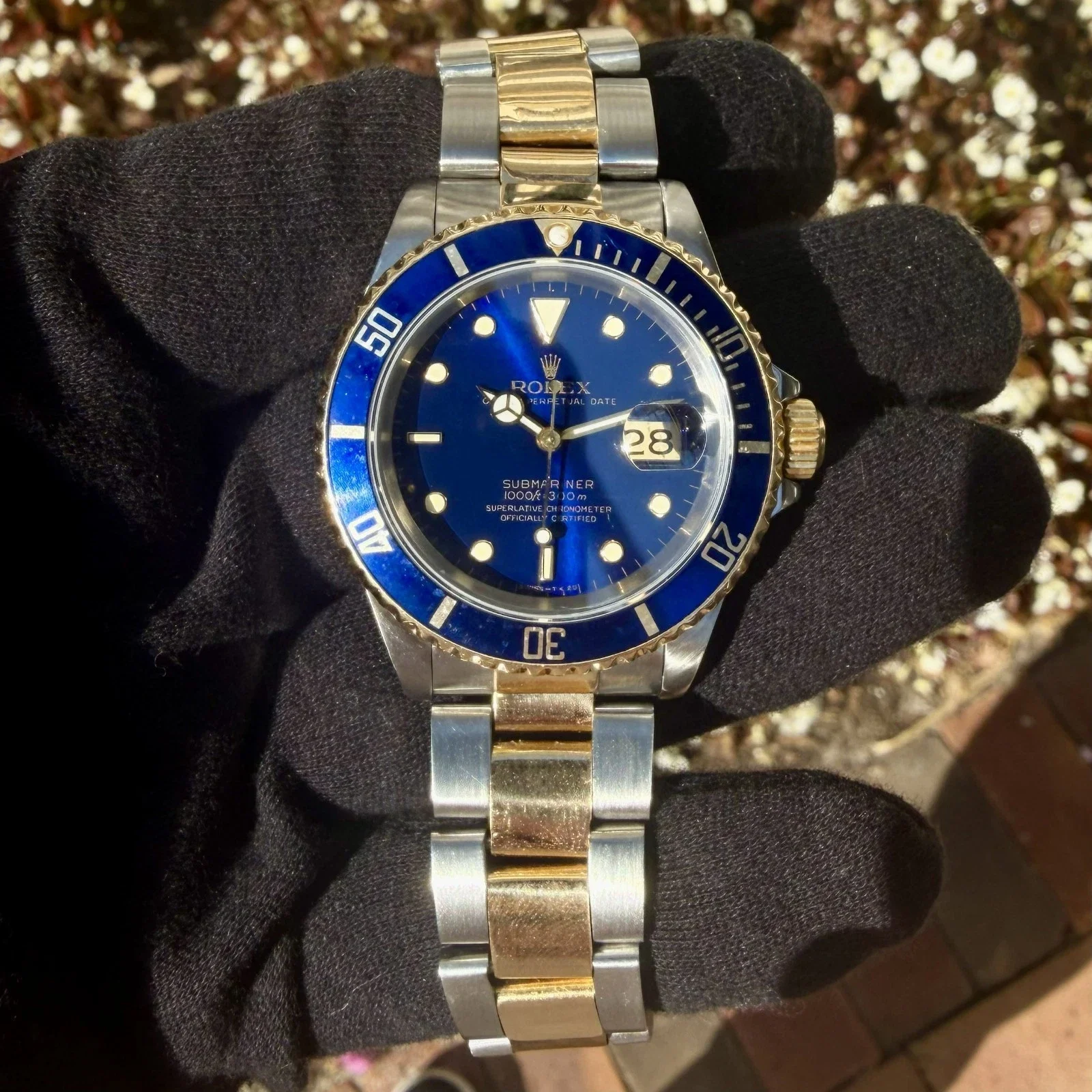 BLUE9.webp