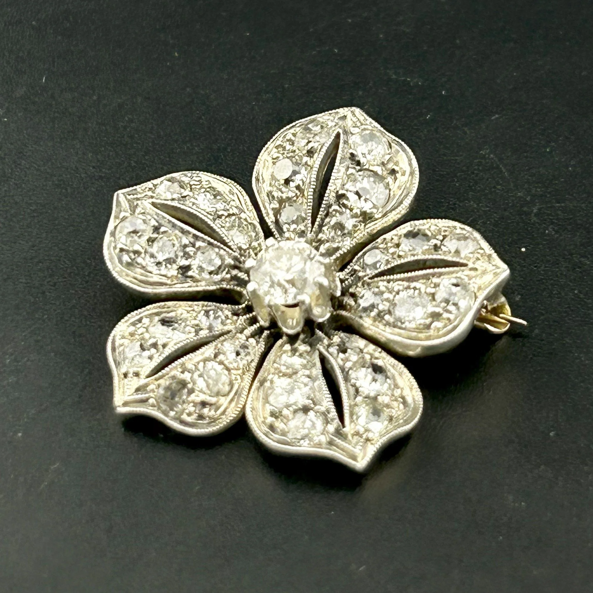 FLOWER 4.jpeg