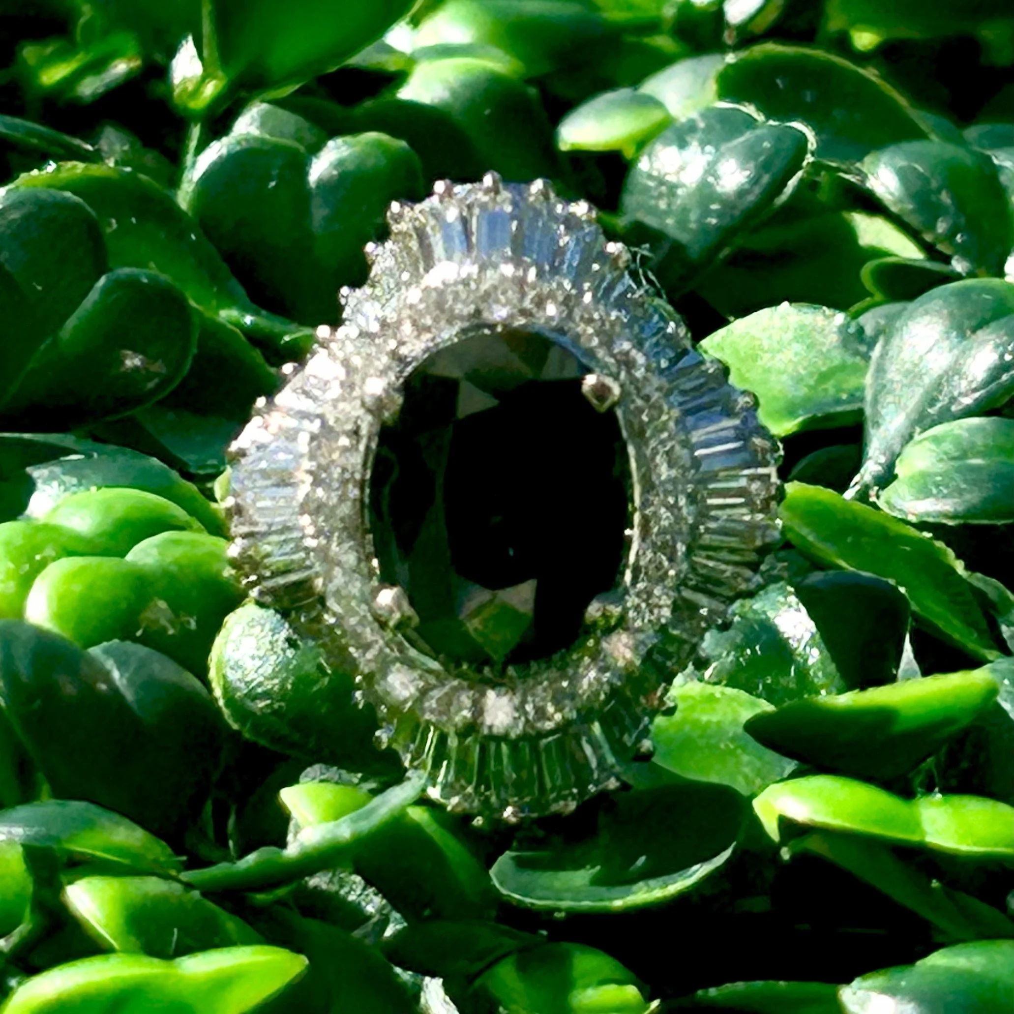 ring o1.jpeg