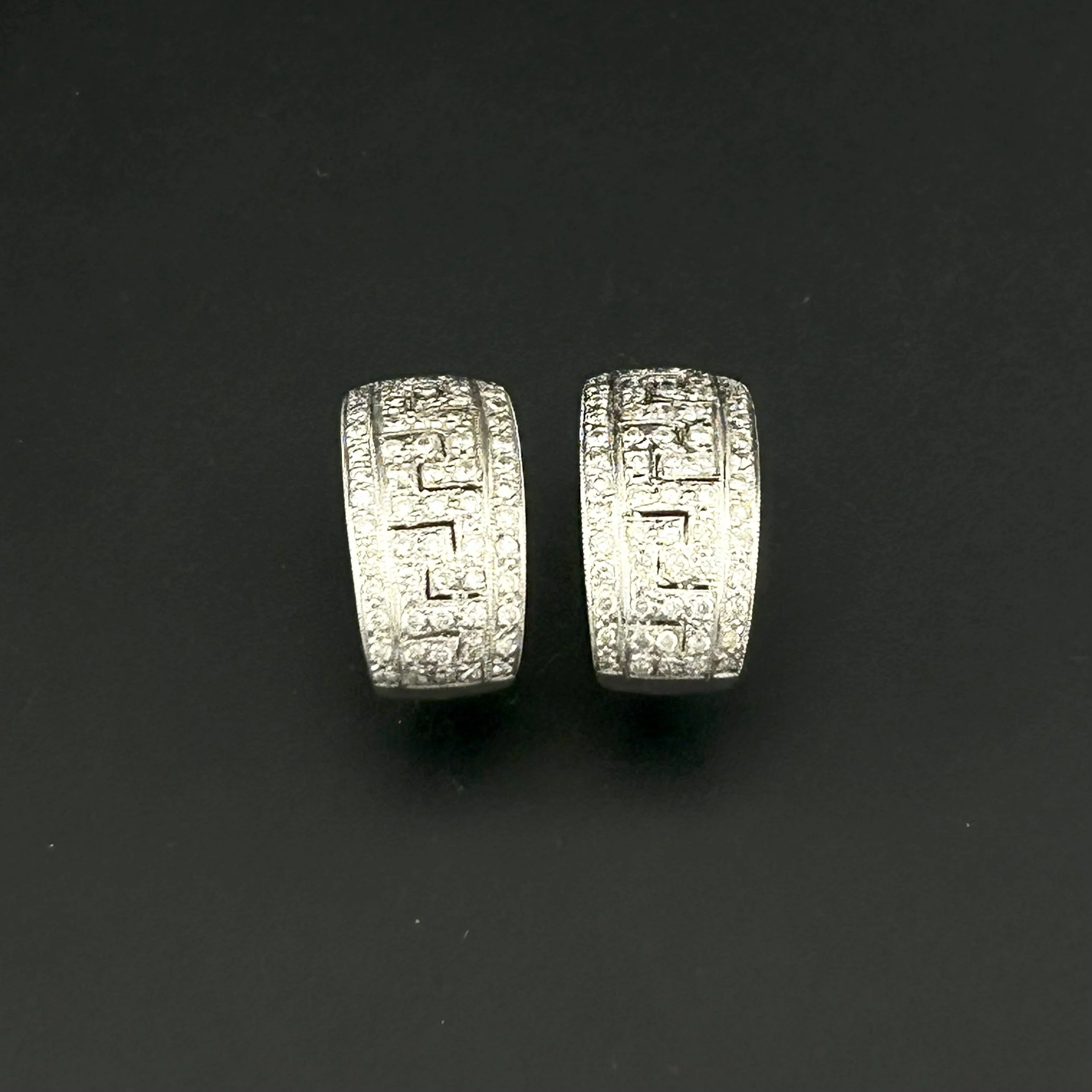 EARRINGS 2.jpeg