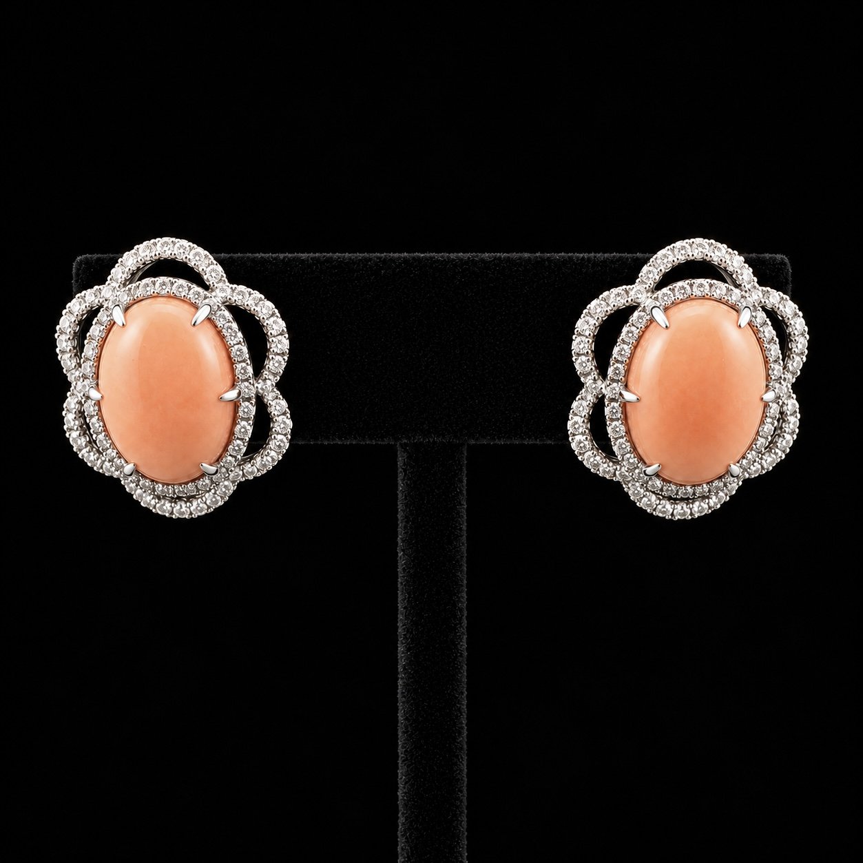 CORAL5.jpg