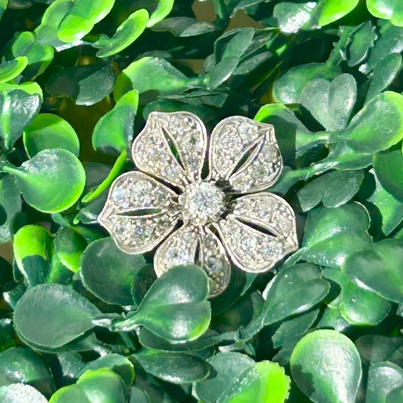 FLOWER 7.jpeg
