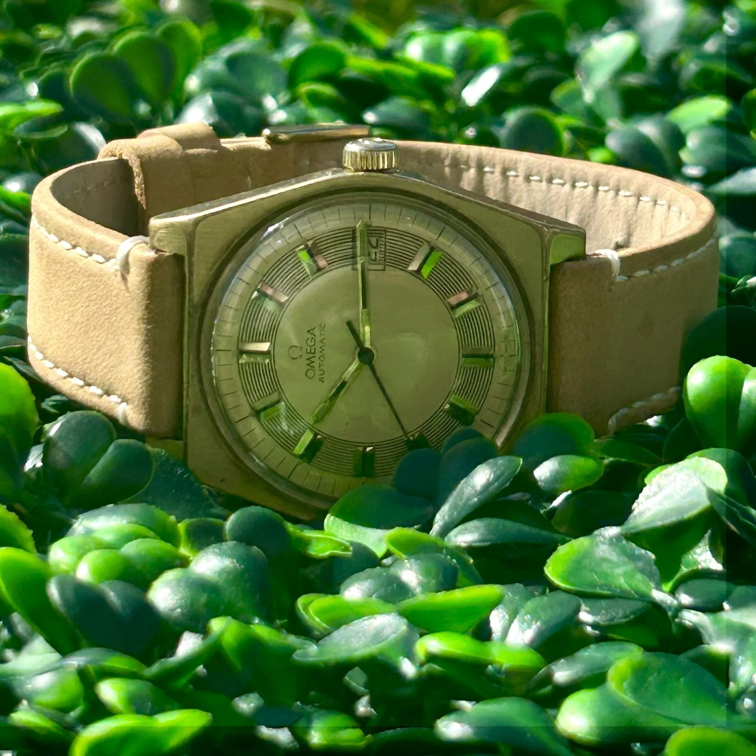 omega auto o1.jpeg