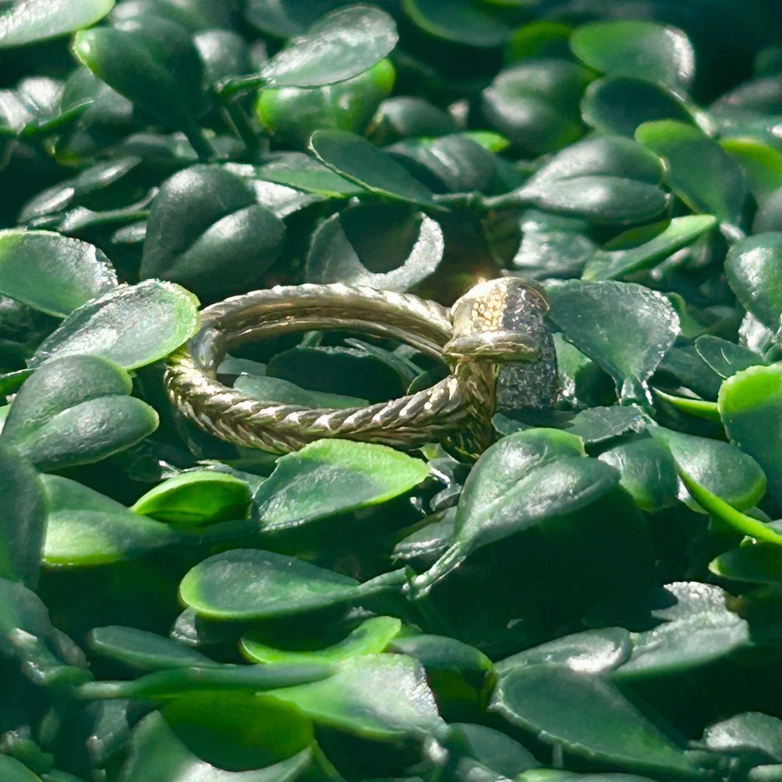 RING 2OOOO.jpeg
