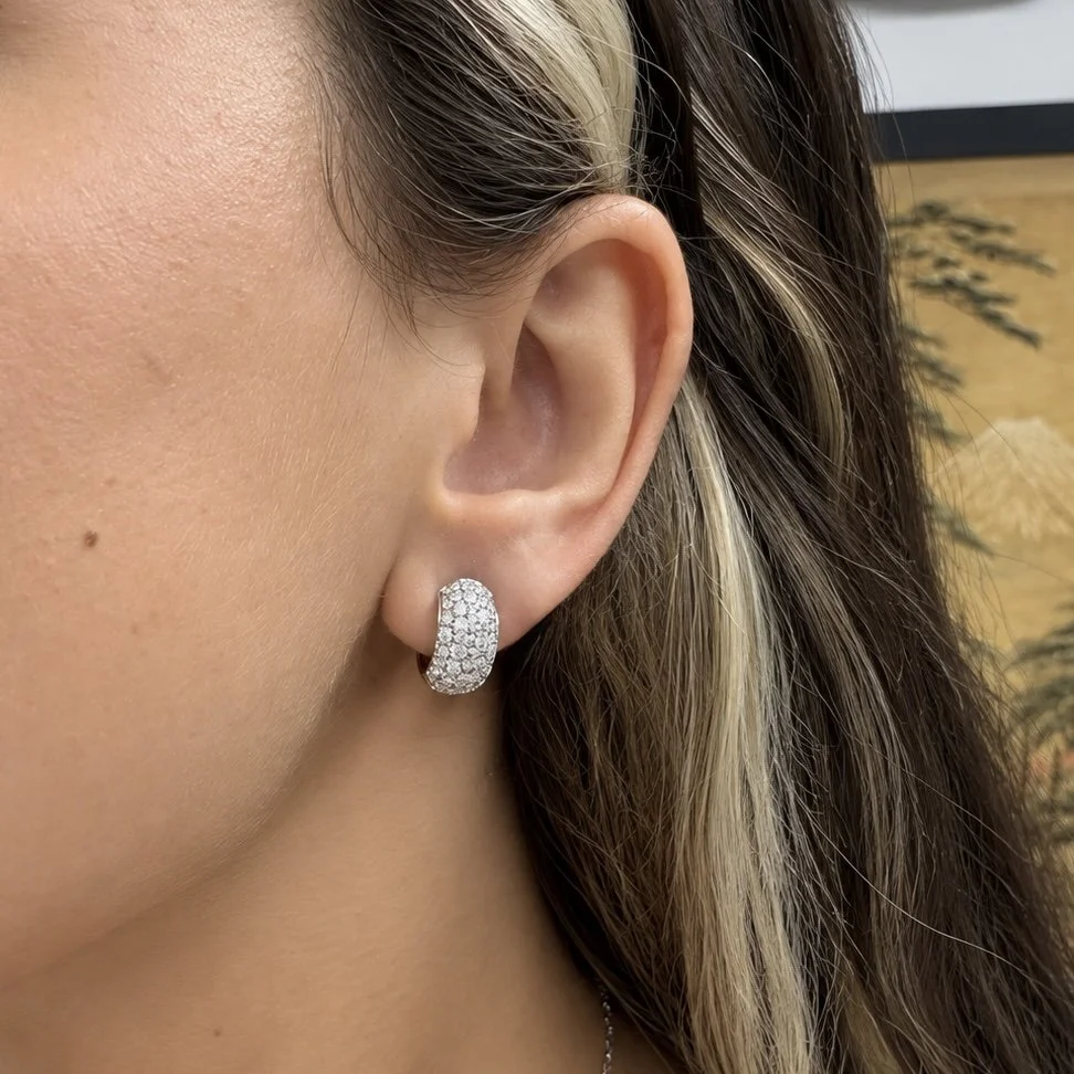 EAR.jpg